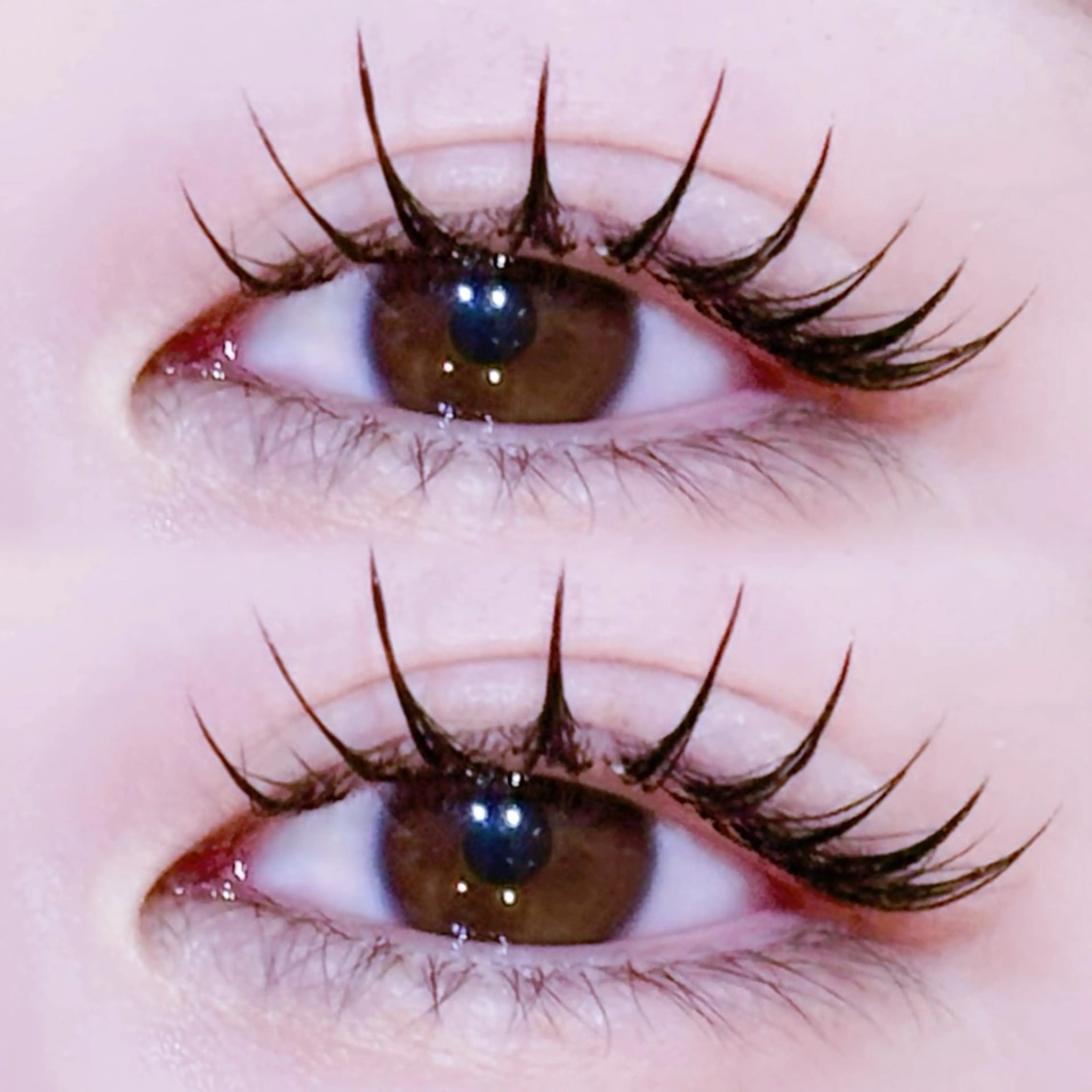 マツエク・マツパ EYELA🤍 蓜島のマツエク・マツパデザイン