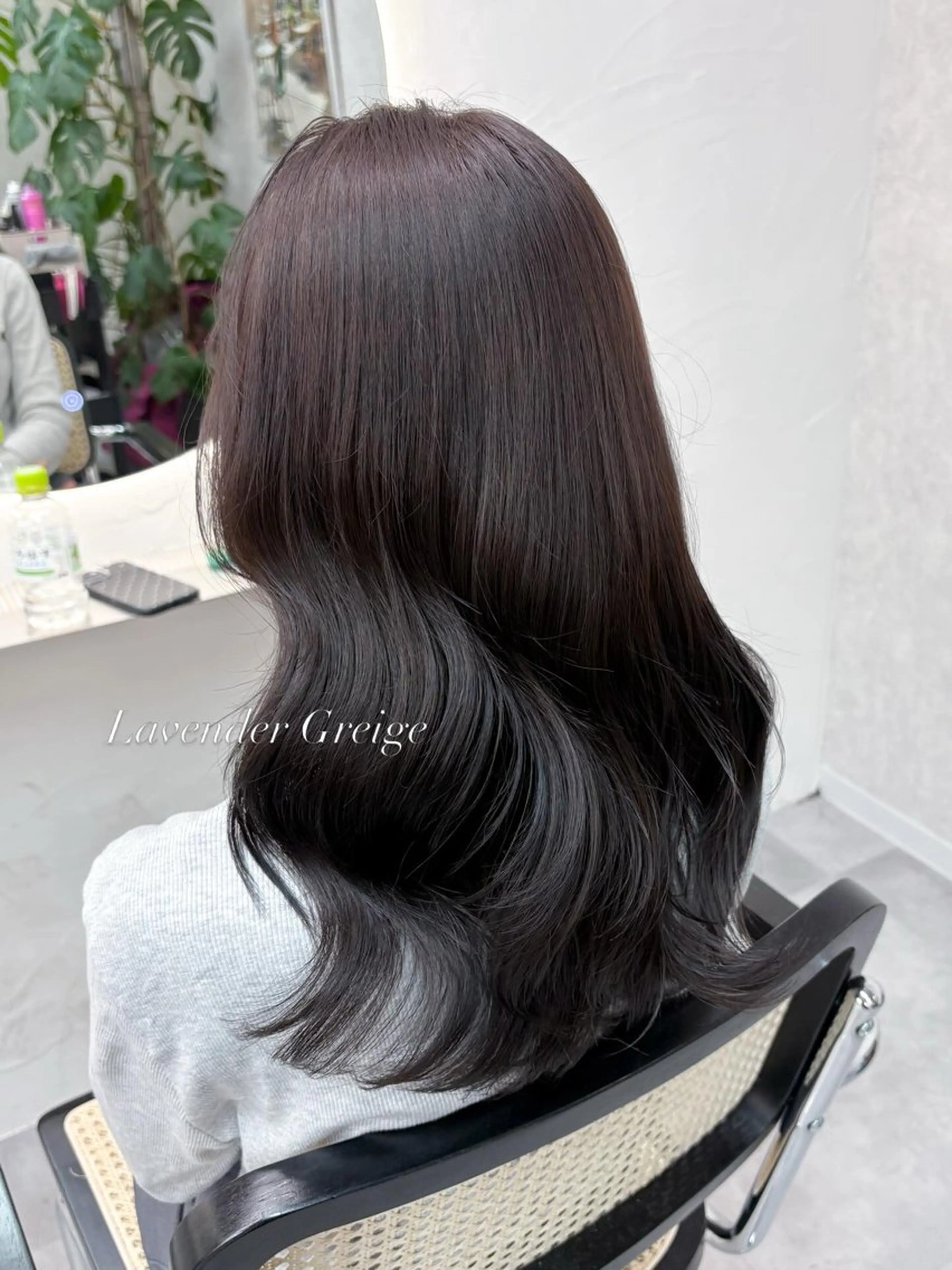 カラー グレージュ ラベンダーカラー ラベンダーグレージュ ラベンダーグレー Hz/ヘルツ SHIHOのヘアスタイル