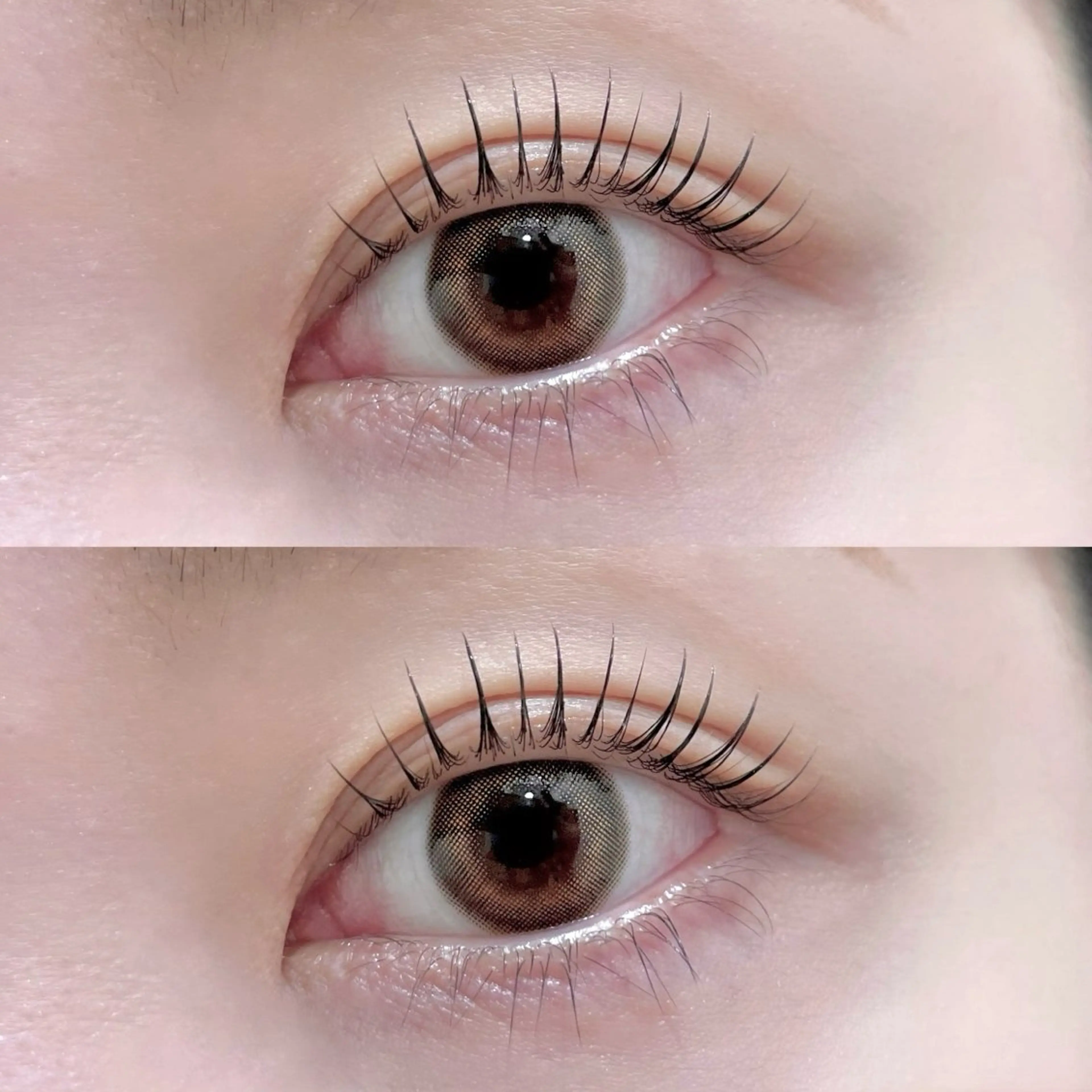 2回目、３回目ご利用の方限定✨ラッシュリフト（まつげパーマ各種）の写真