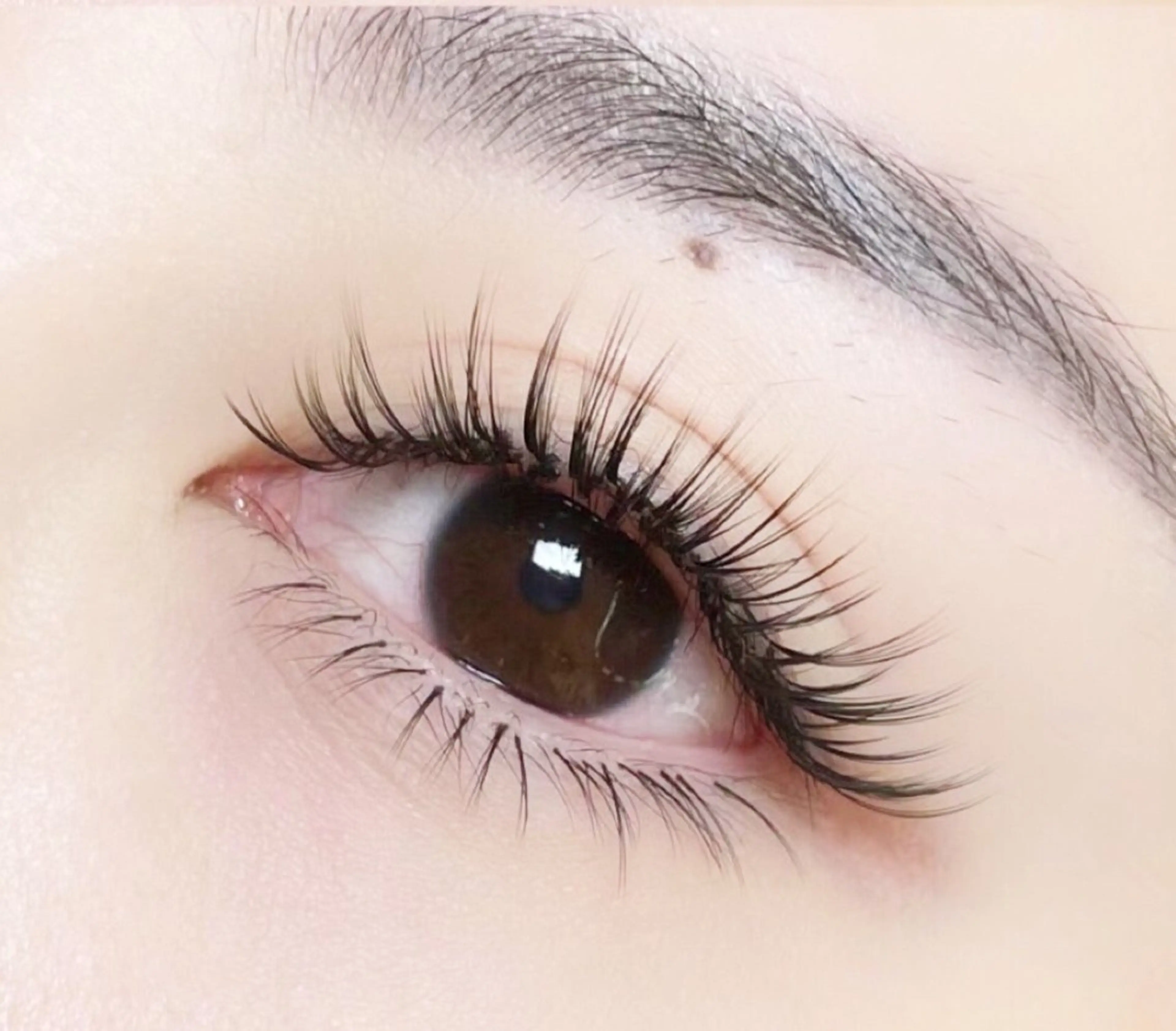 Jr.アイリスト(技術チェックOK)オフなし90分🌼マツエク募集🌼100本の写真