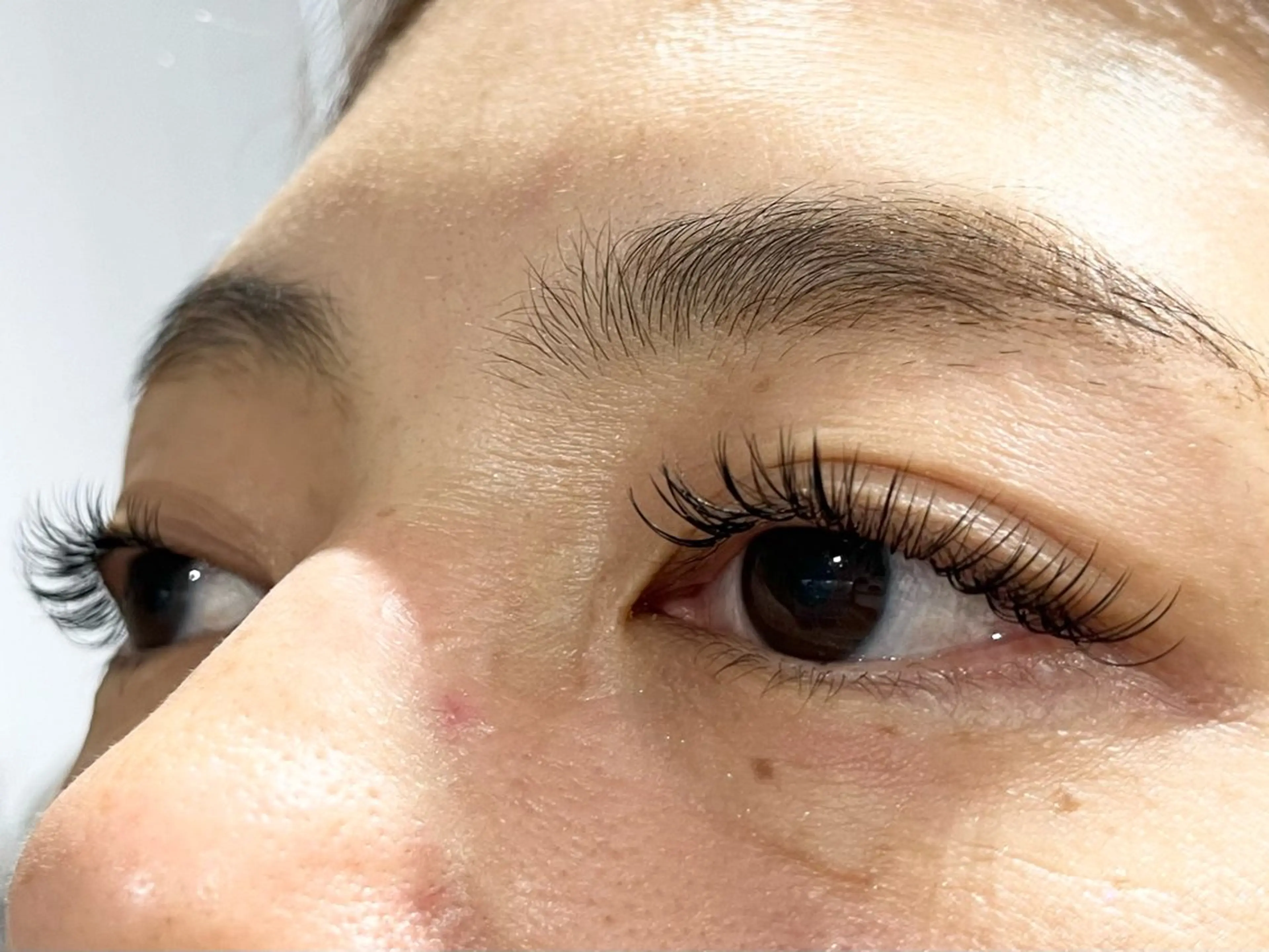 バインドロック120束[オフ込］の写真