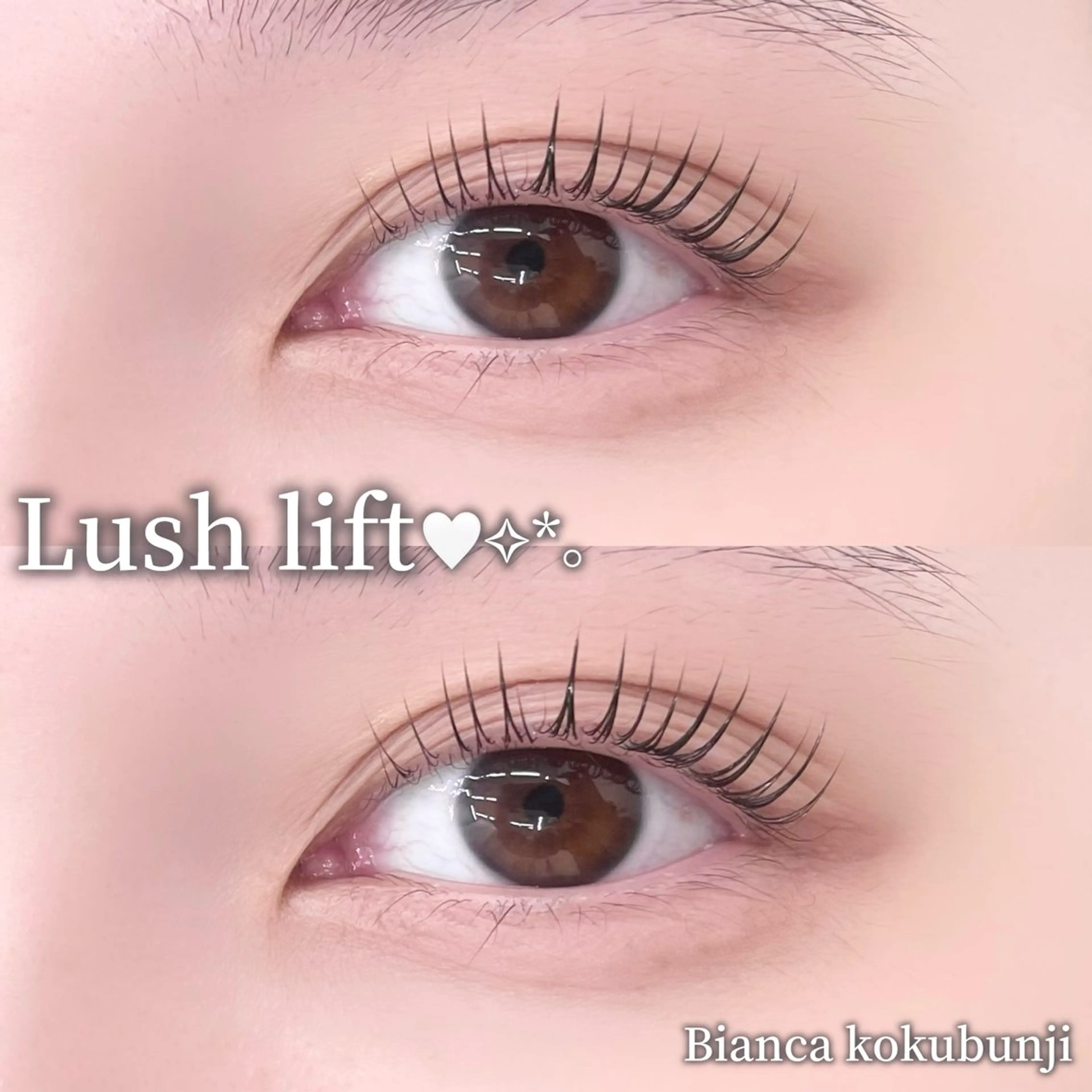 マツエク・マツパ 一重×まつ毛パーマ マツパ 🩶Bianca 副店長ハシモト🩶のマツエク・マツパデザイン