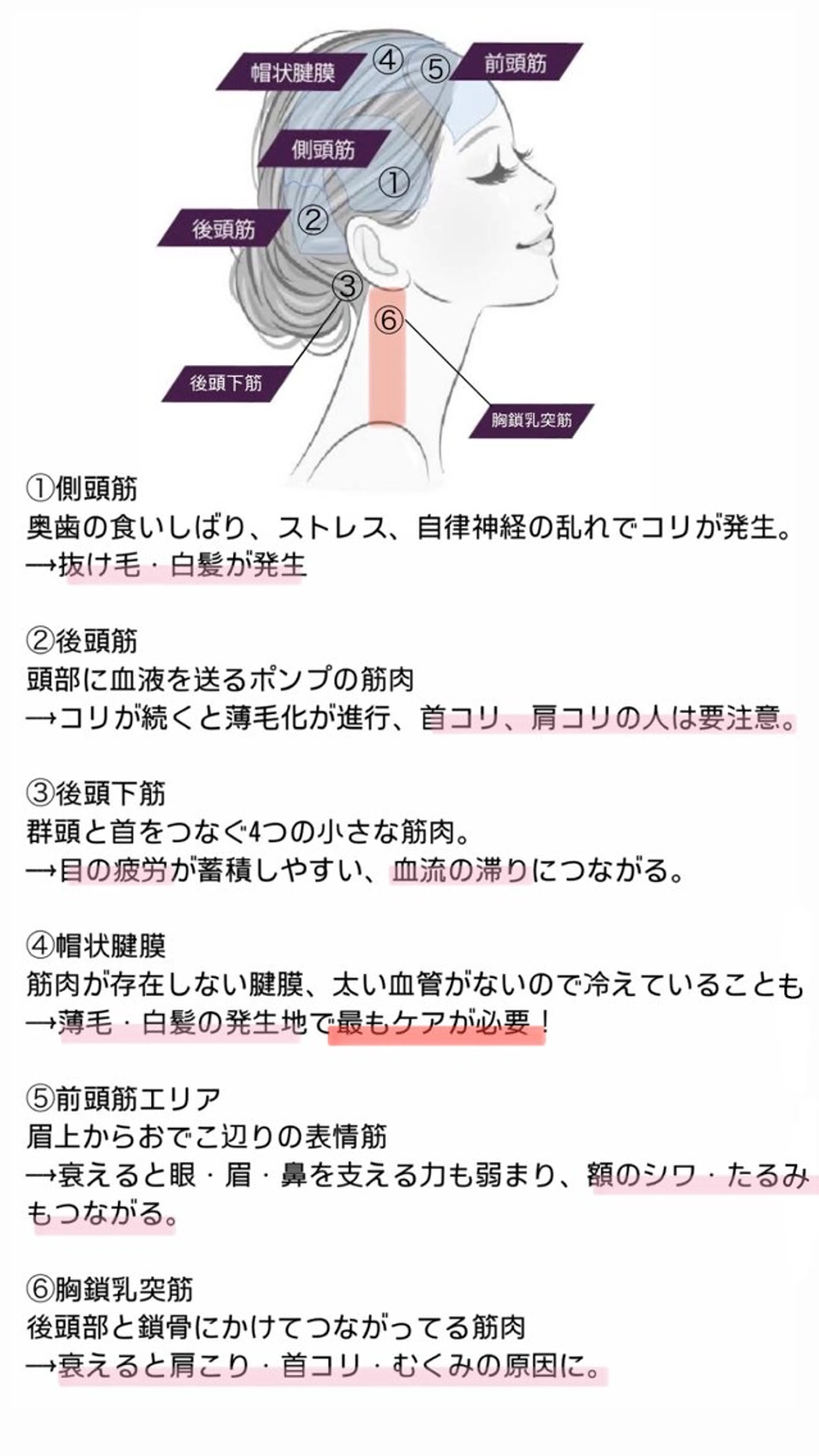 Sloth 🦥 MARINAのヘアスタイル