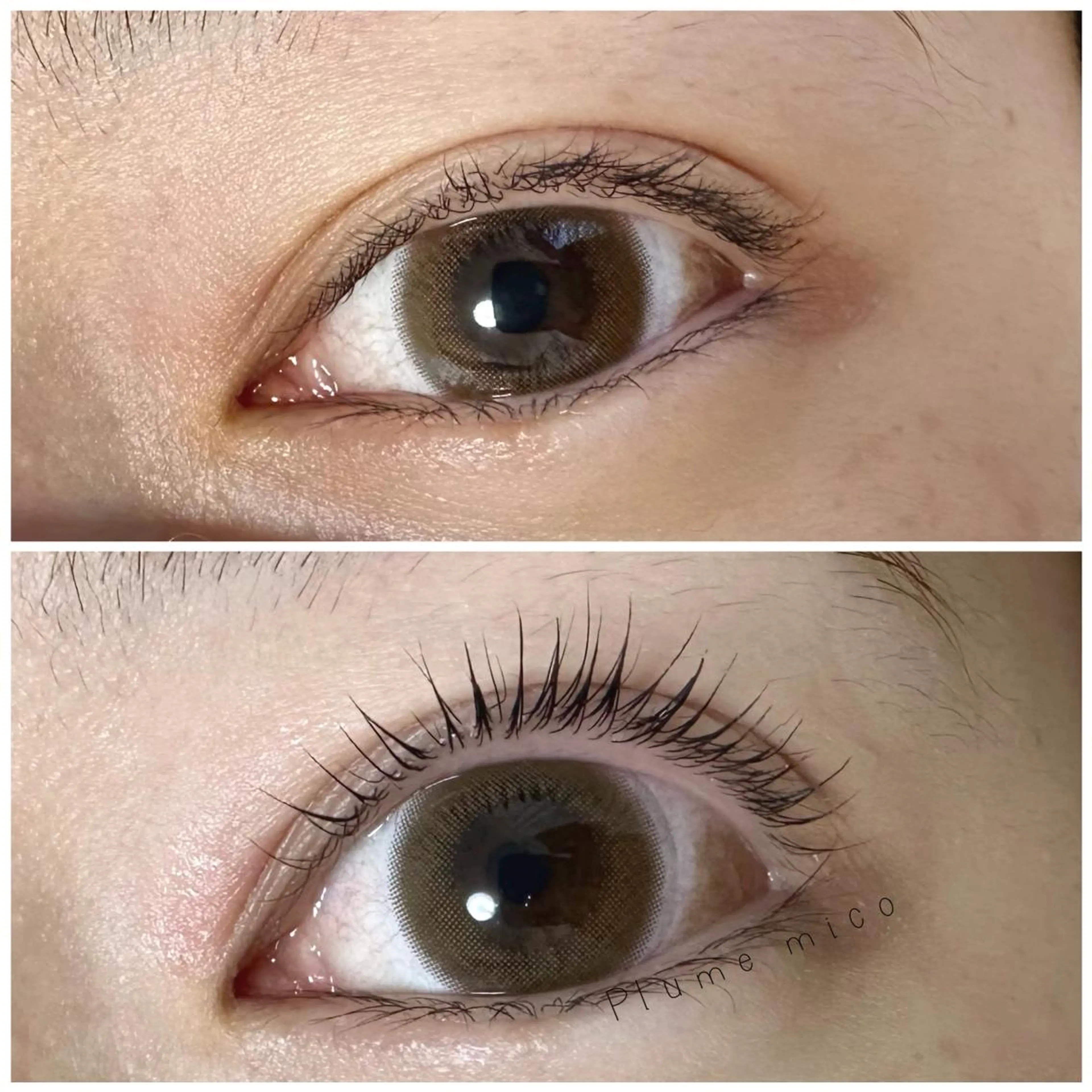 マツエク・マツパ マツパ Plume micoのマツエク・マツパデザイン