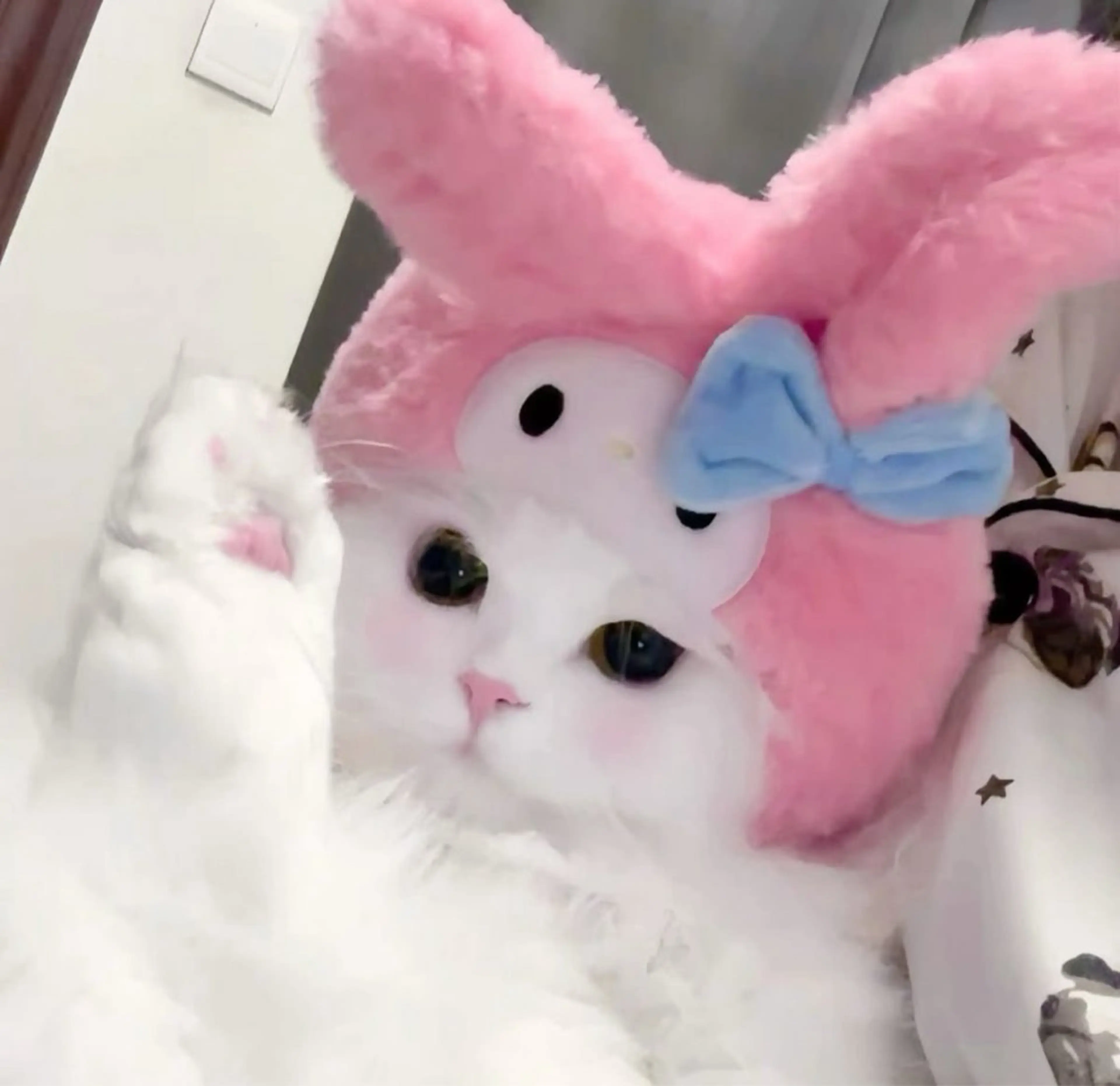 マツエク・マツパ 🎀eyelist. mizuki🐈‍⬛のマツエク・マツパデザイン