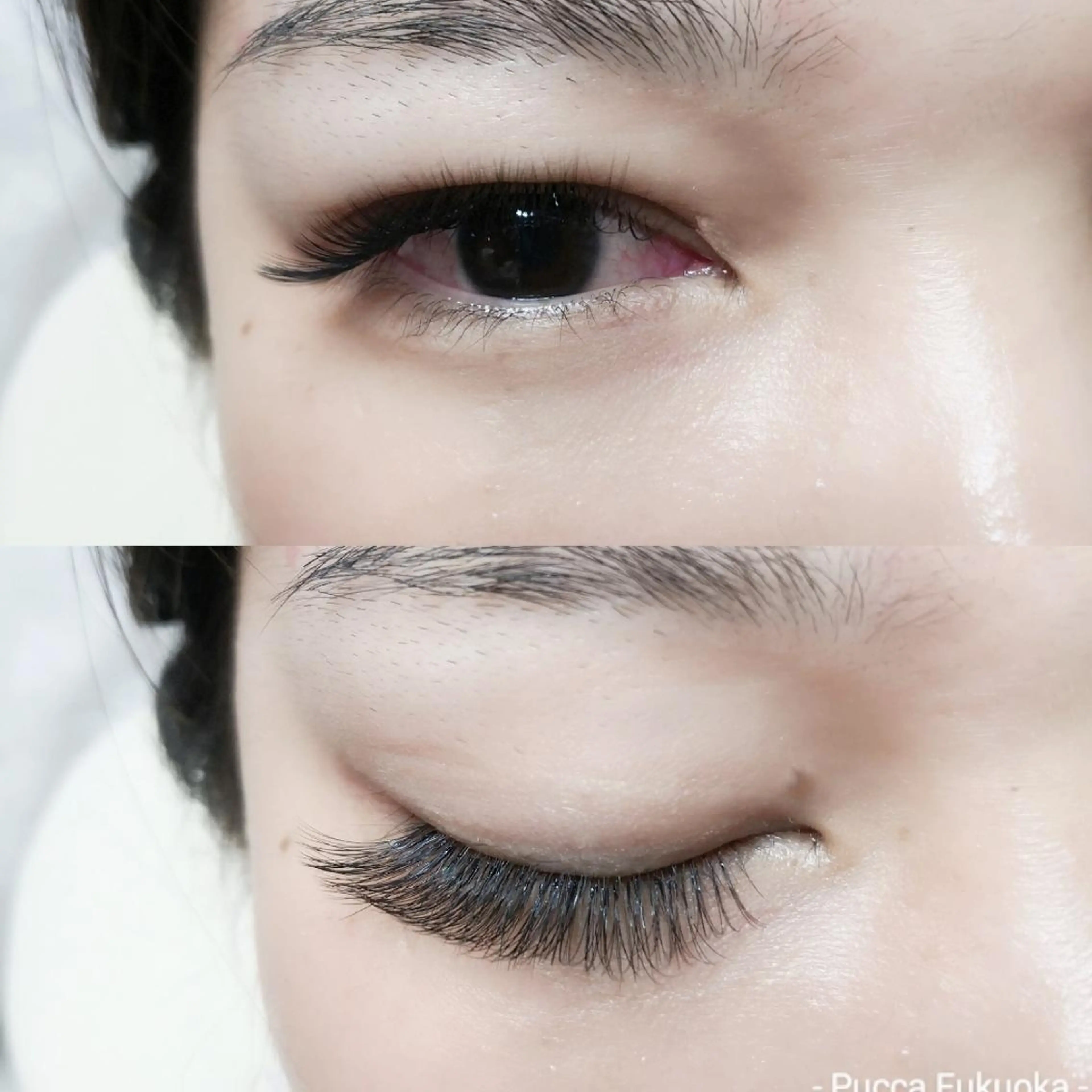 マツエク・マツパ Pucca Fukuokaのマツエク・マツパデザイン