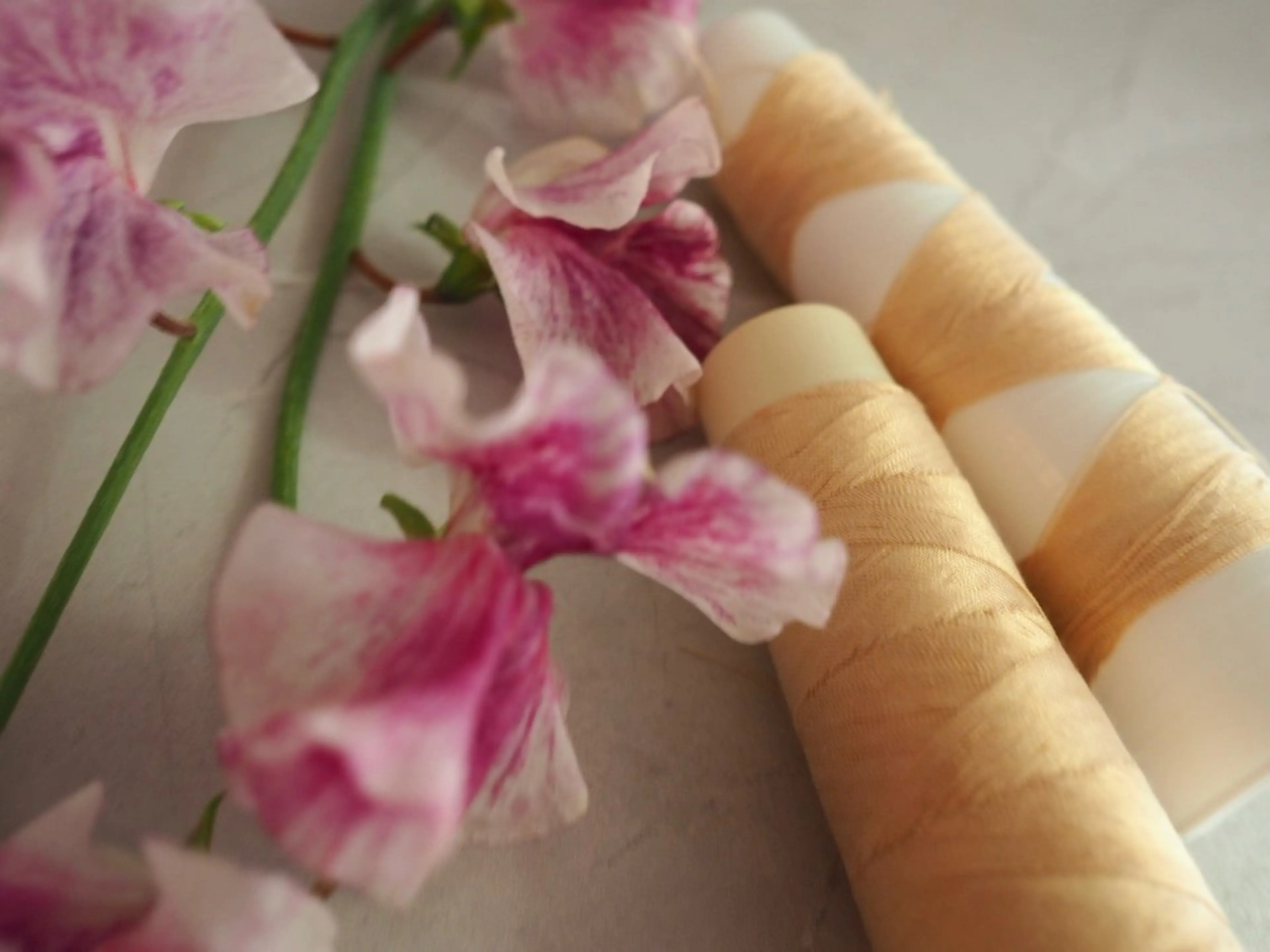 体験【人気No.1】金の糸顔脱毛✨産毛ケアで透明感UPの写真