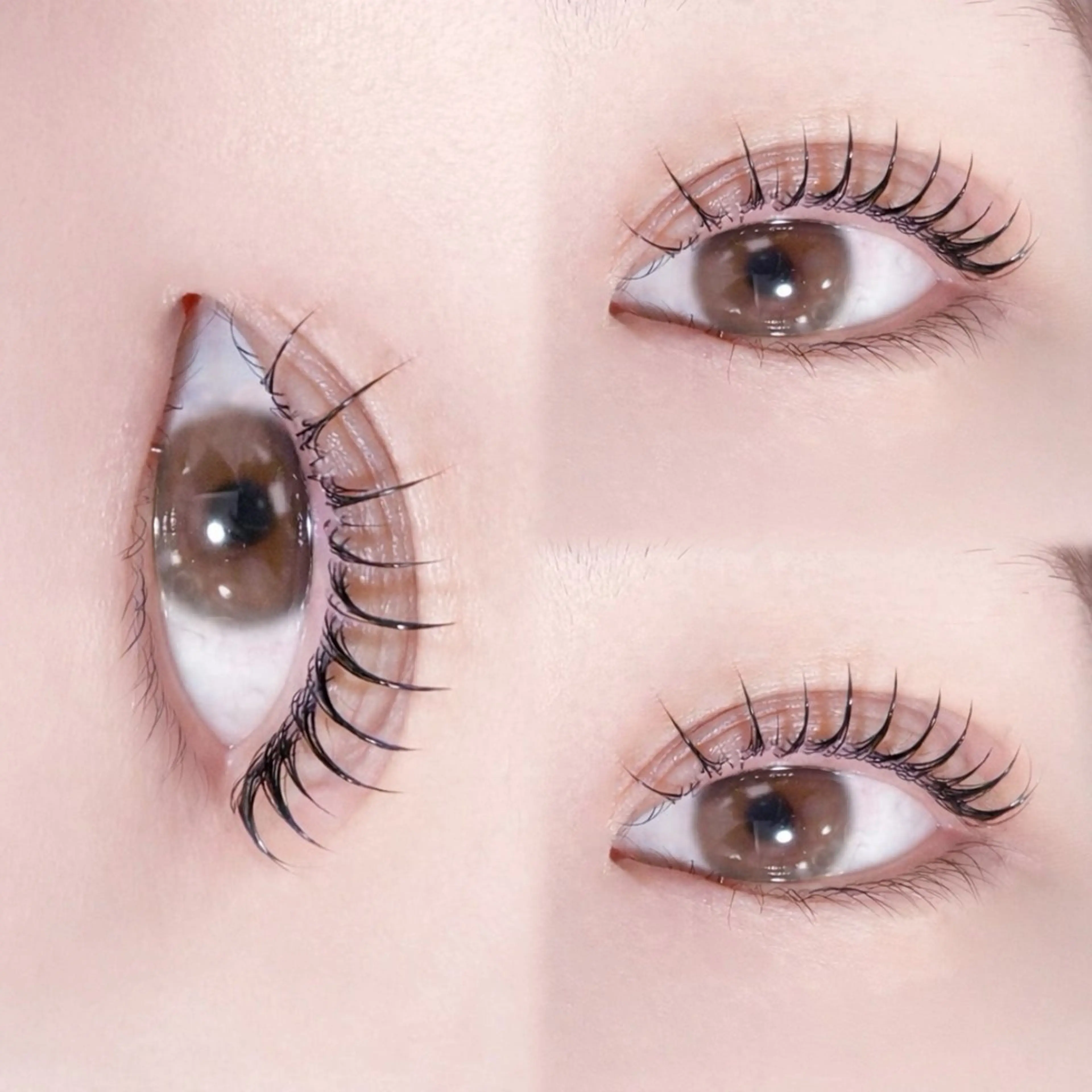 マツエク・マツパ マツパ マリーテレジア ogataのマツエク・マツパデザイン