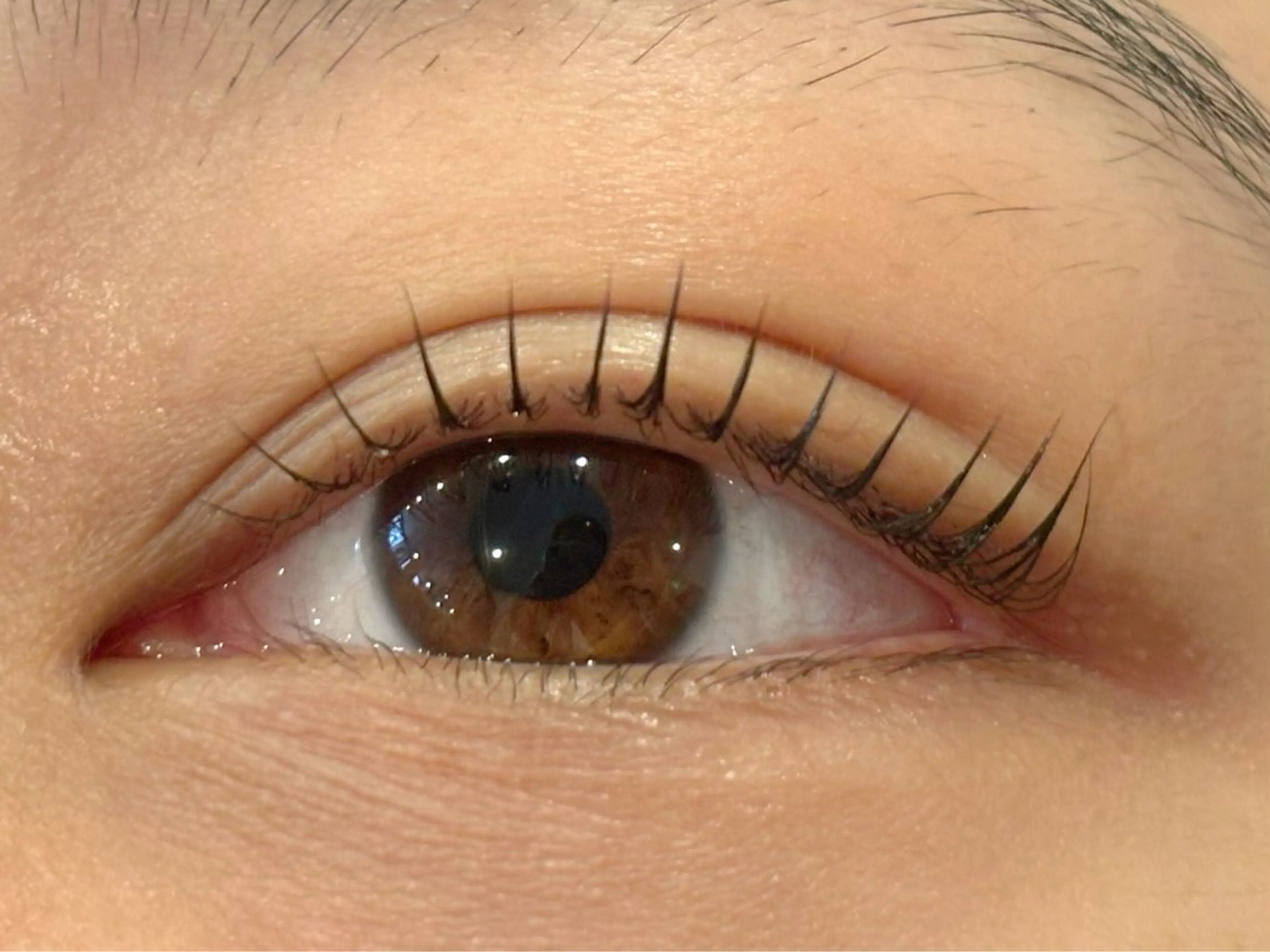 【全員/まつげケア✨】ビューラー式まつげパーマ+栄養根元トリートメント+美容液コーティング 2800円の写真