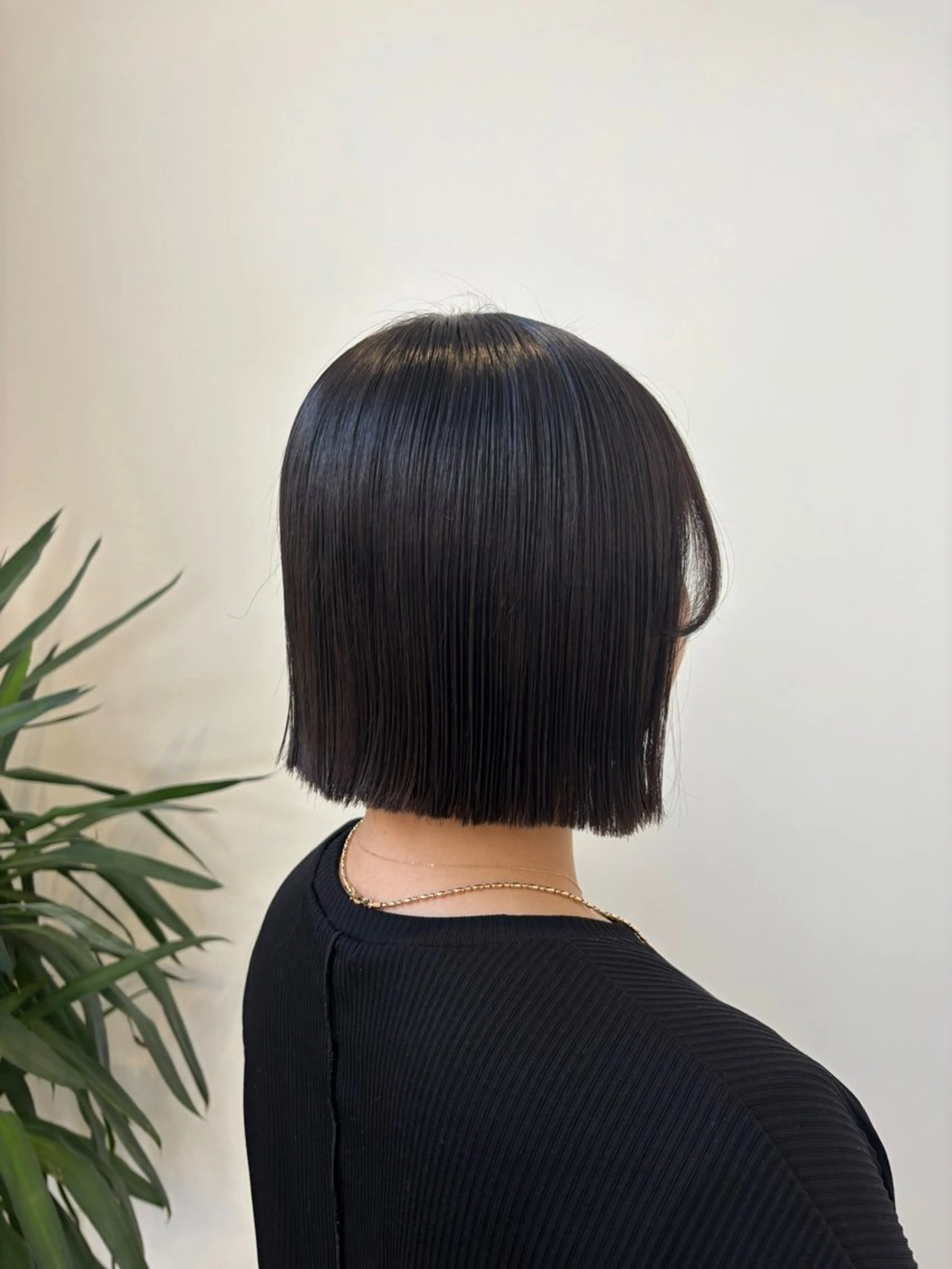 カット+3stepトリートメントの写真