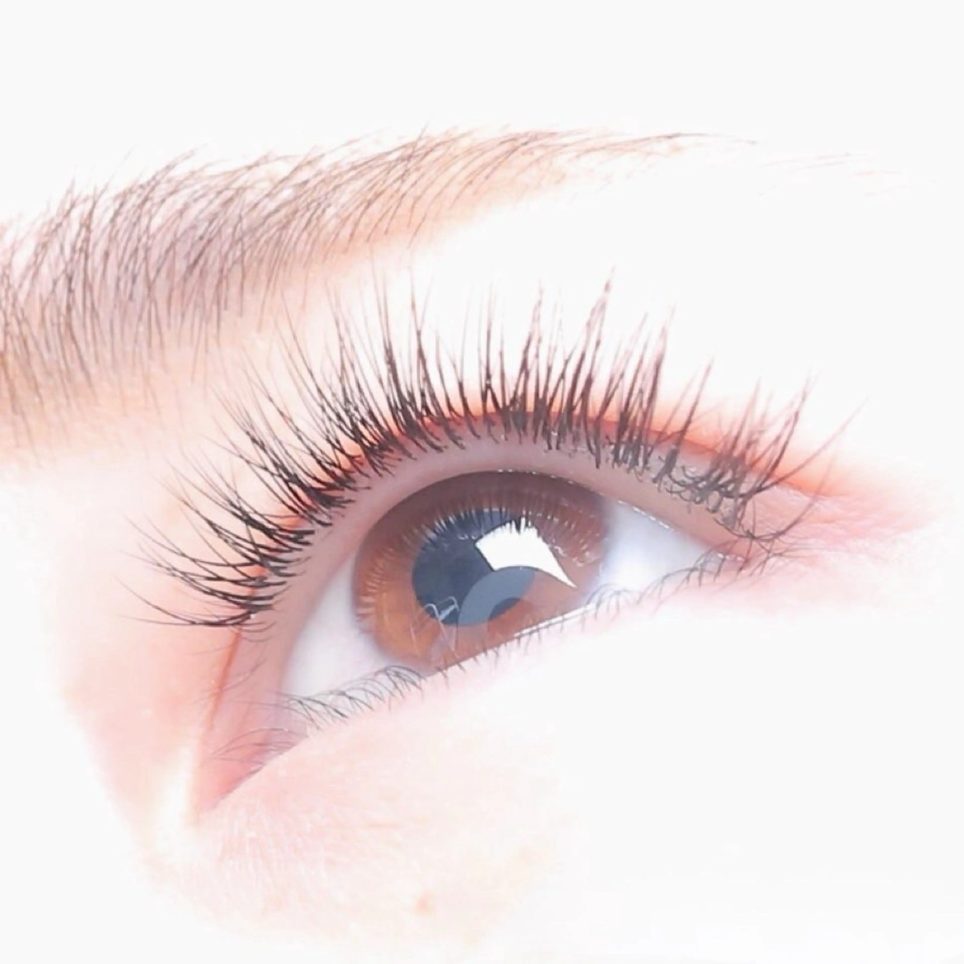 ラッシュリフト。アイシャンプー付❣の写真