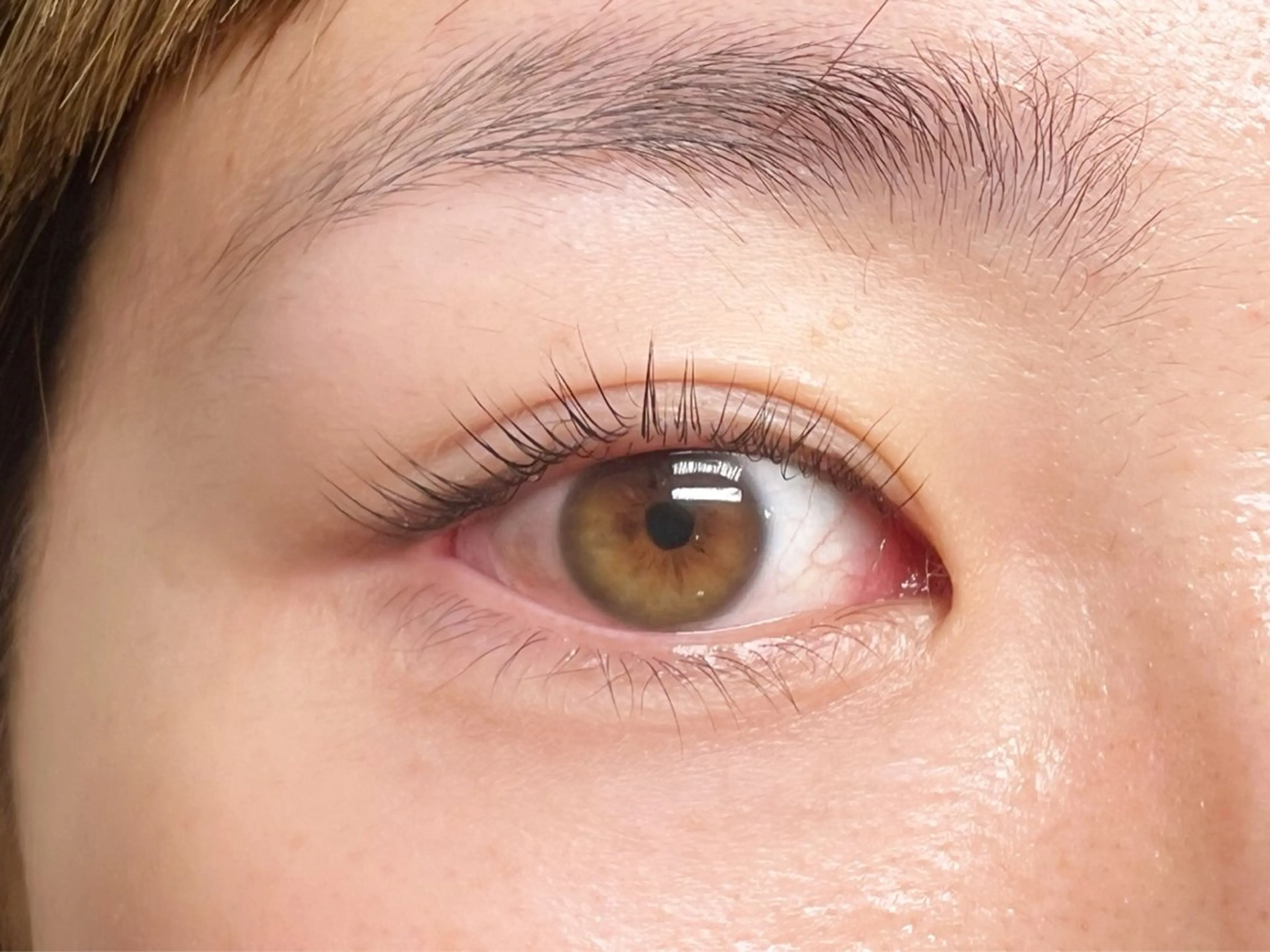 《新規限定》初心者人気💐似合わせまつげパーマ (トリートメント付)の写真