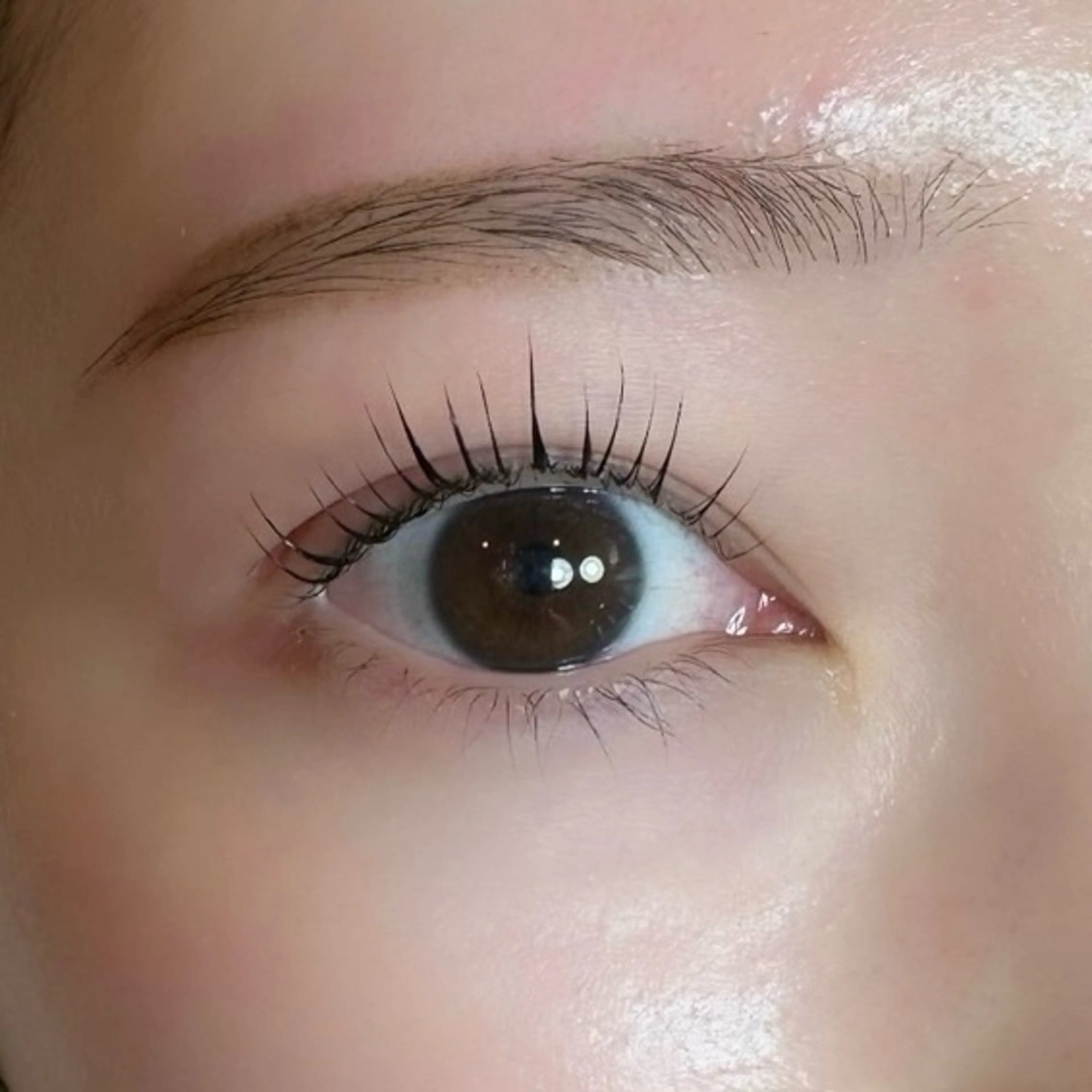 🌙上まつげパーマ【施術時間60分】『トリートメント付き』の写真