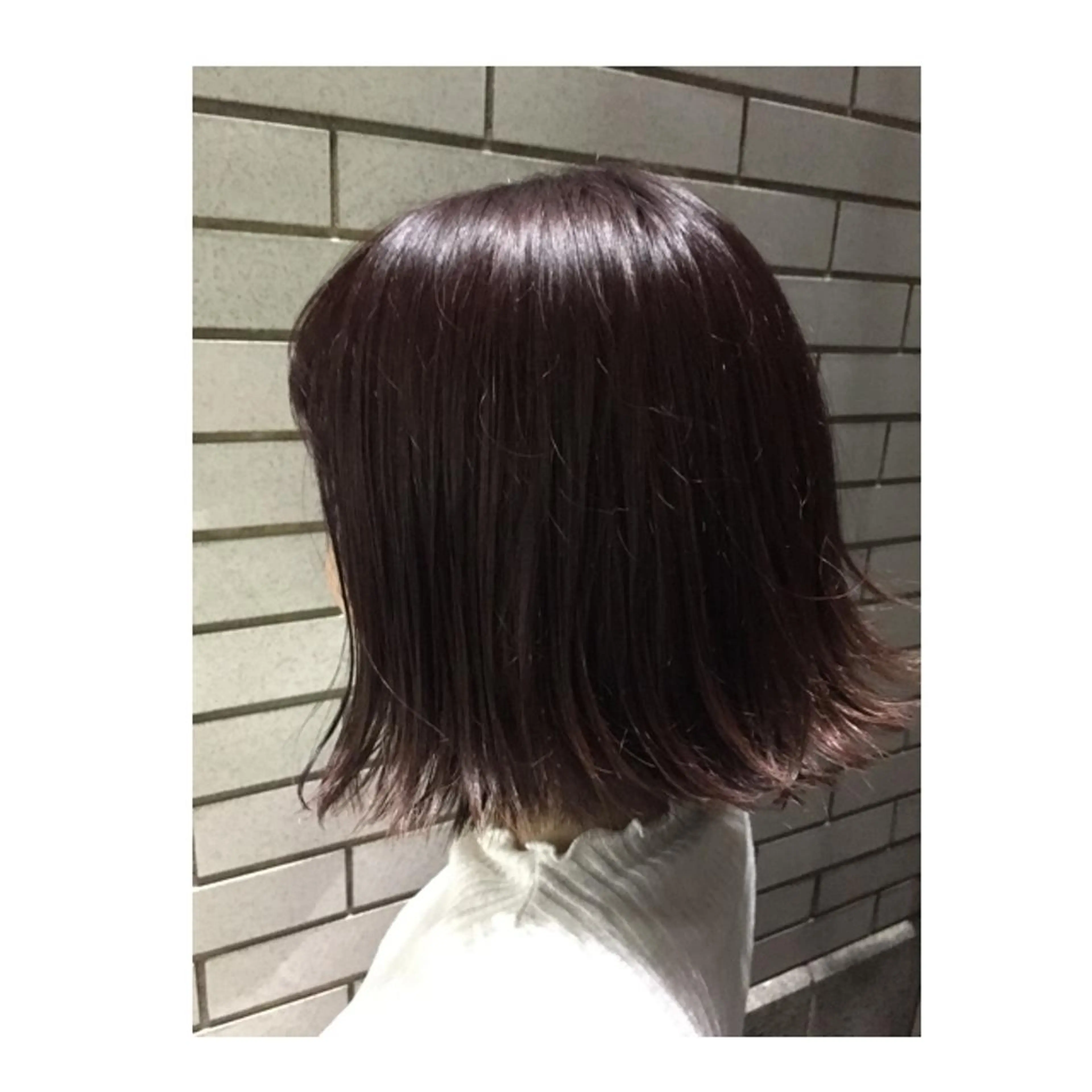 ショート 切りっぱなしボブ ボブ ショートが得意✂️ 藤城建太のヘアスタイル