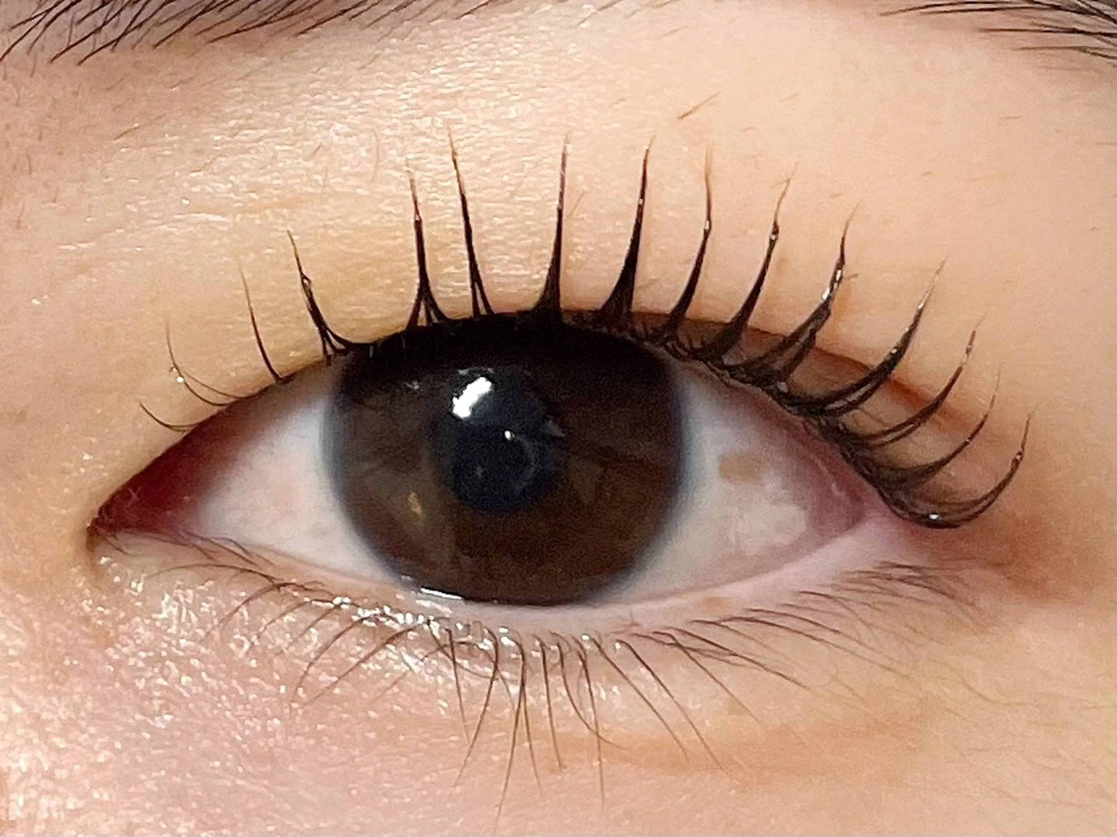 マツエク・マツパ マツパ eyelash CLAYの眉毛・アイブロウイメージ