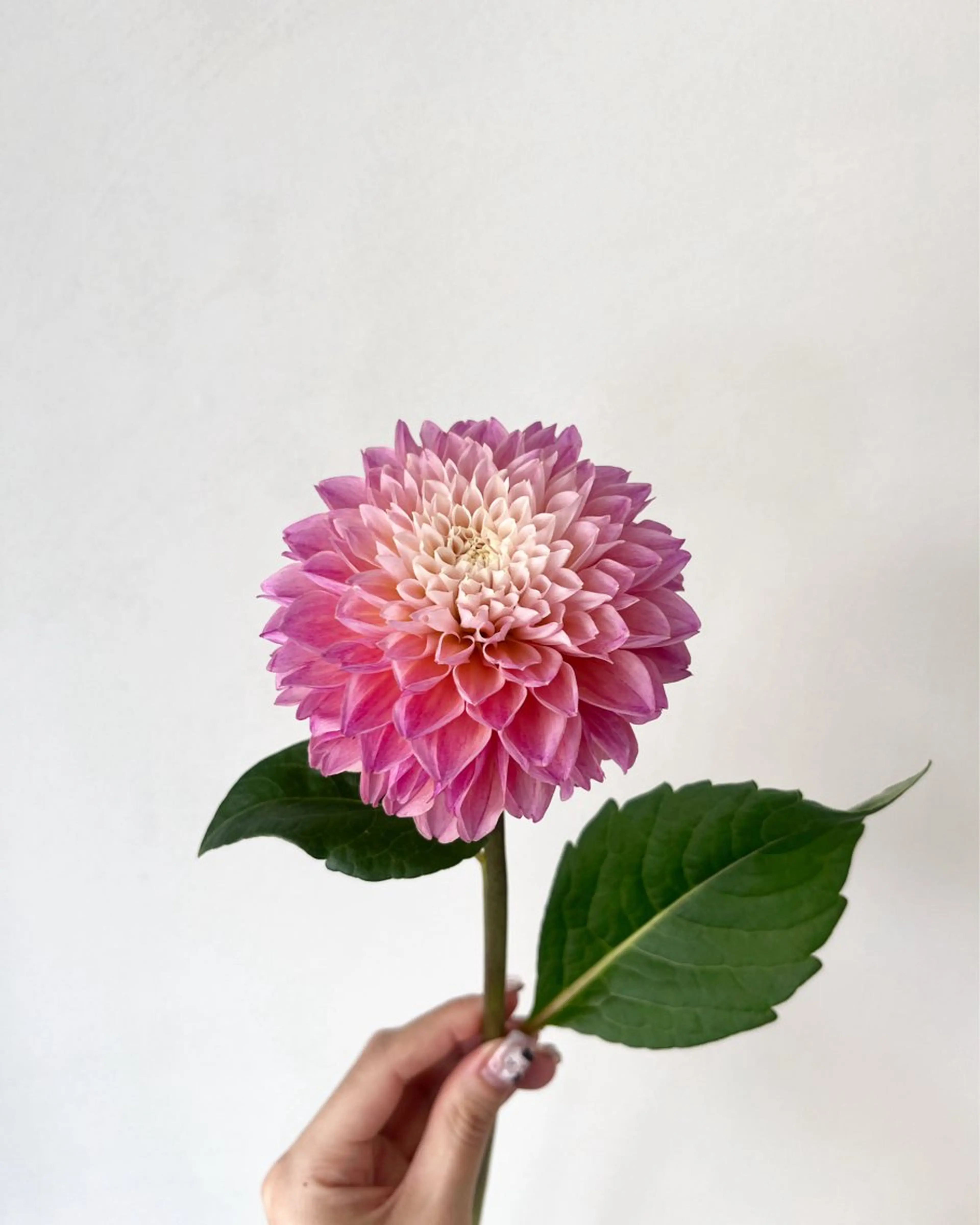 ロング カラー 暖色カラー／ ヘアセット🌛櫻井舞のヘアスタイル