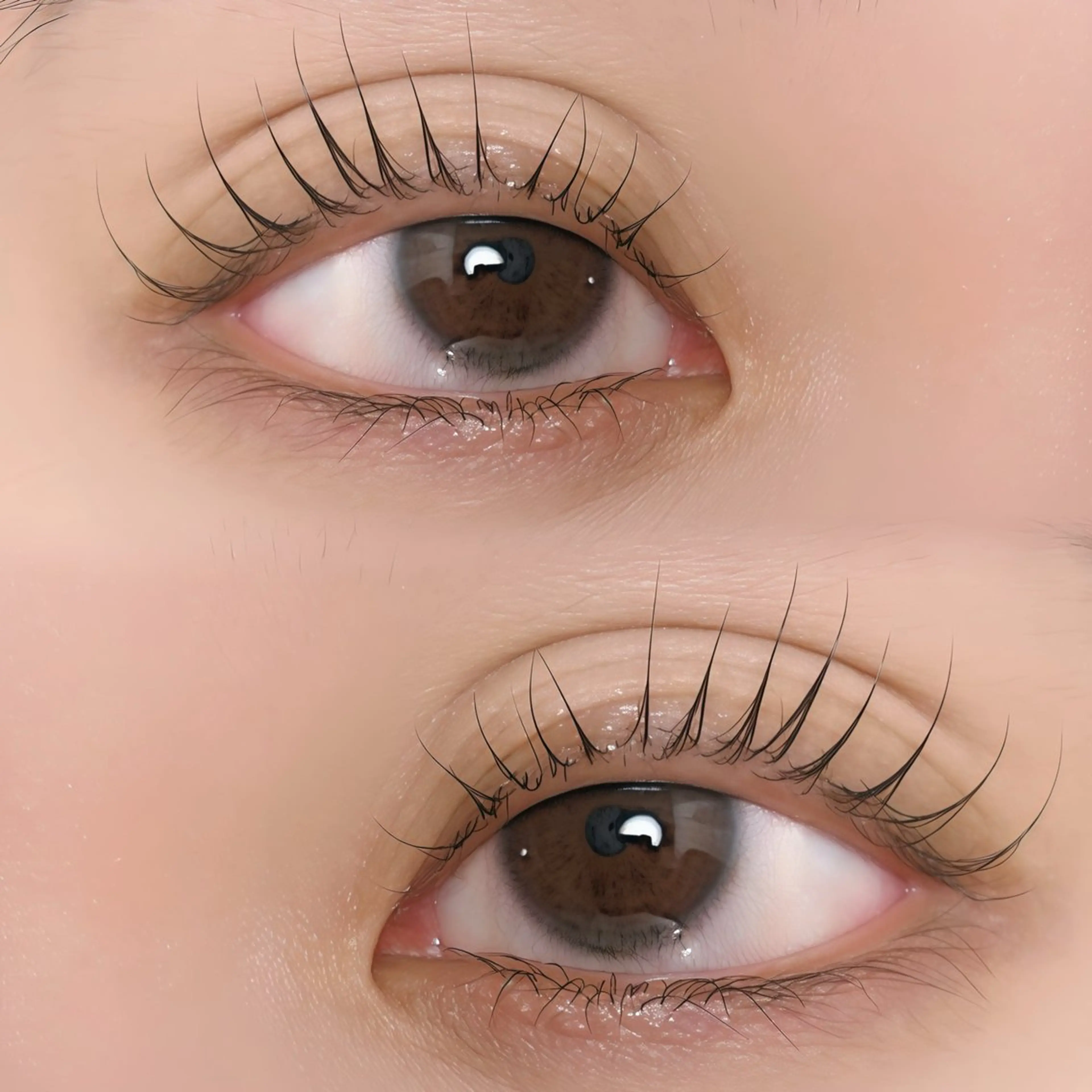 【リピーター様】ラッシュリフト💝ぱっちり✨根元立上げ✨の写真