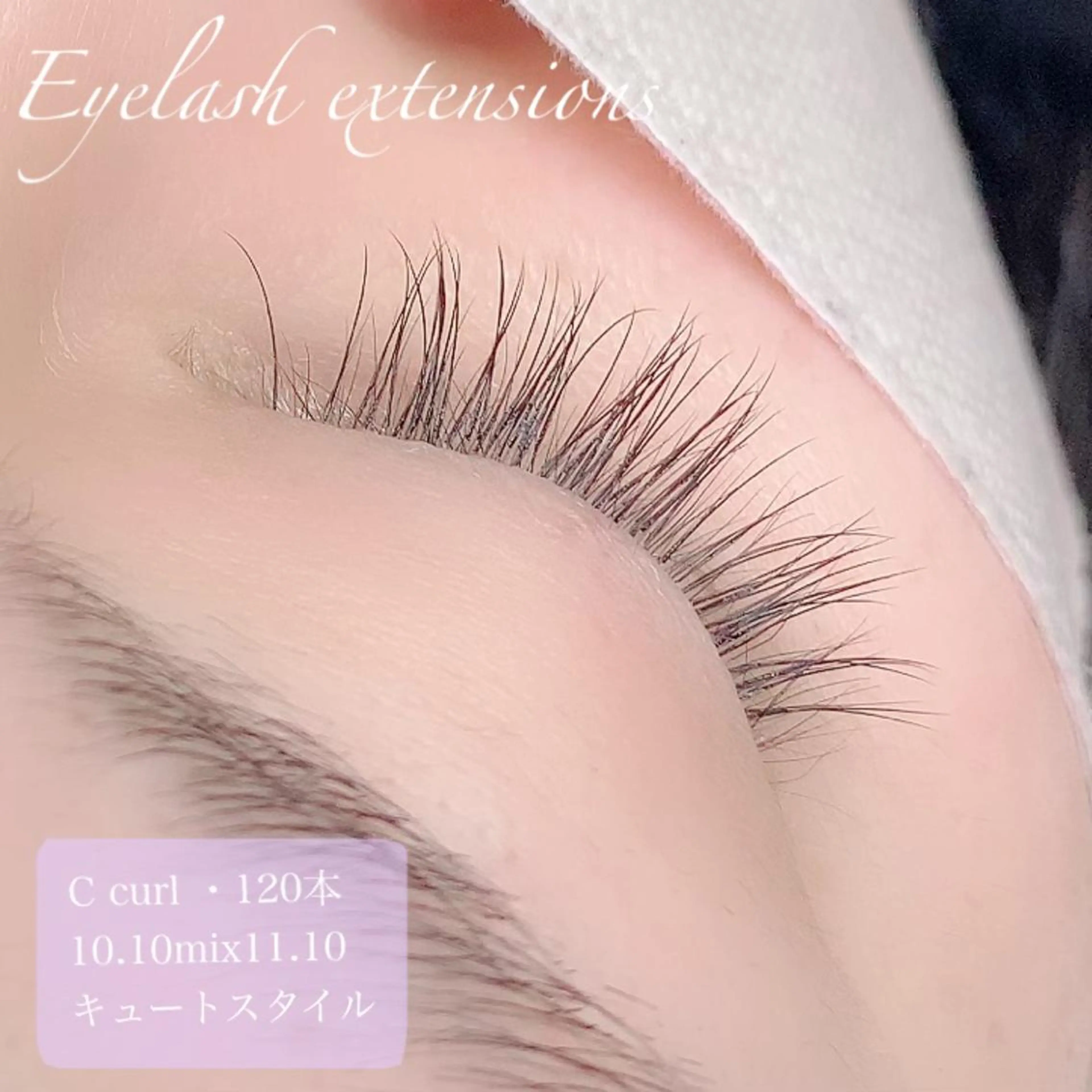 マツエク・マツパ マツエク Pixie Bob 🐈‍⬛　位田のマツエク・マツパデザイン