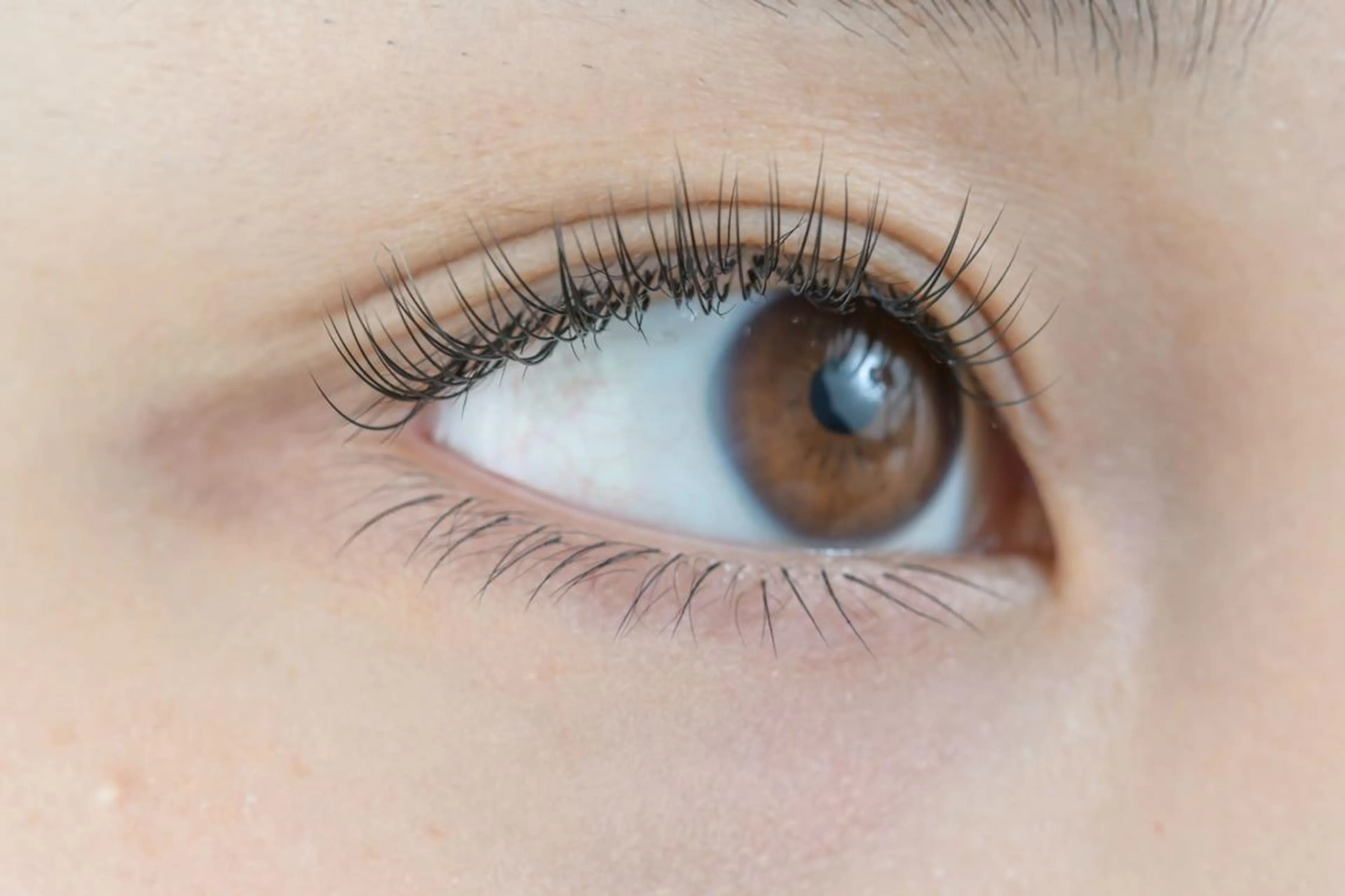 マツエク・マツパ ミンク アイサロン フェア 海老名店のマツエク・マツパデザイン