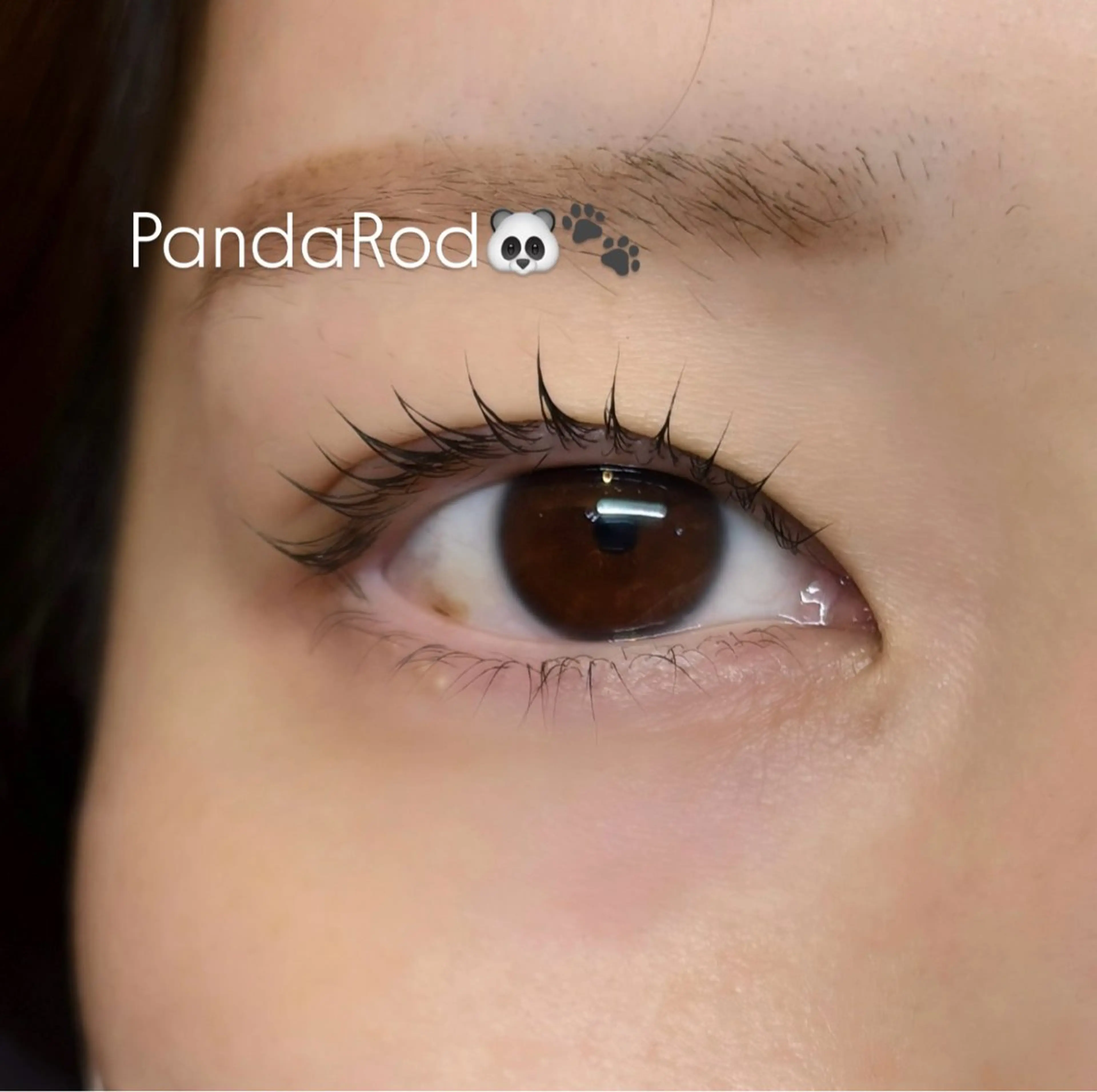 マツエク・マツパ マツパ 似合わせまつ毛パーマ ★Ran★相模大野のマツエク・マツパデザイン