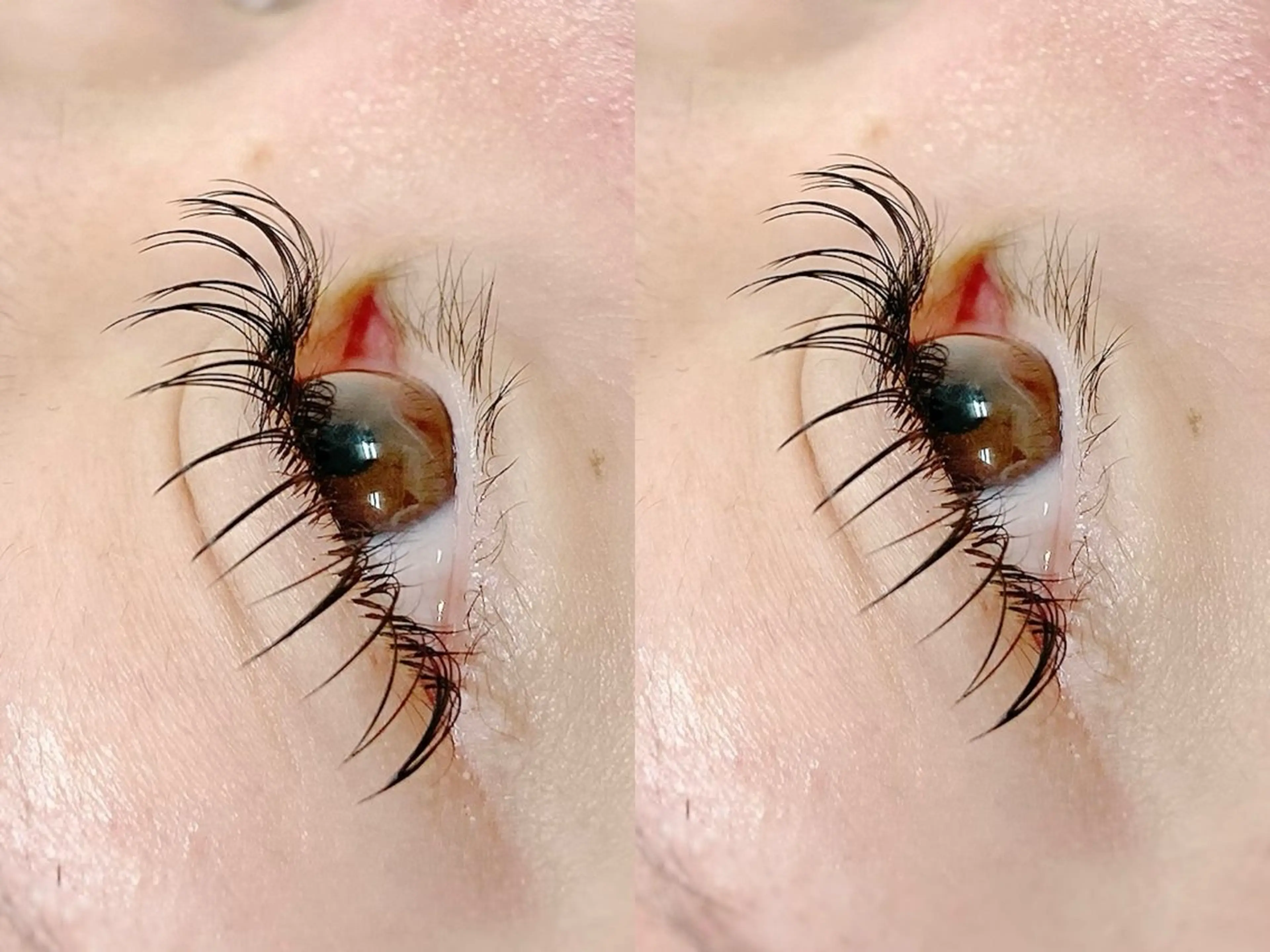 マツエク・マツパ フラットラッシュ Lito by Lupieのマツエク・マツパデザイン