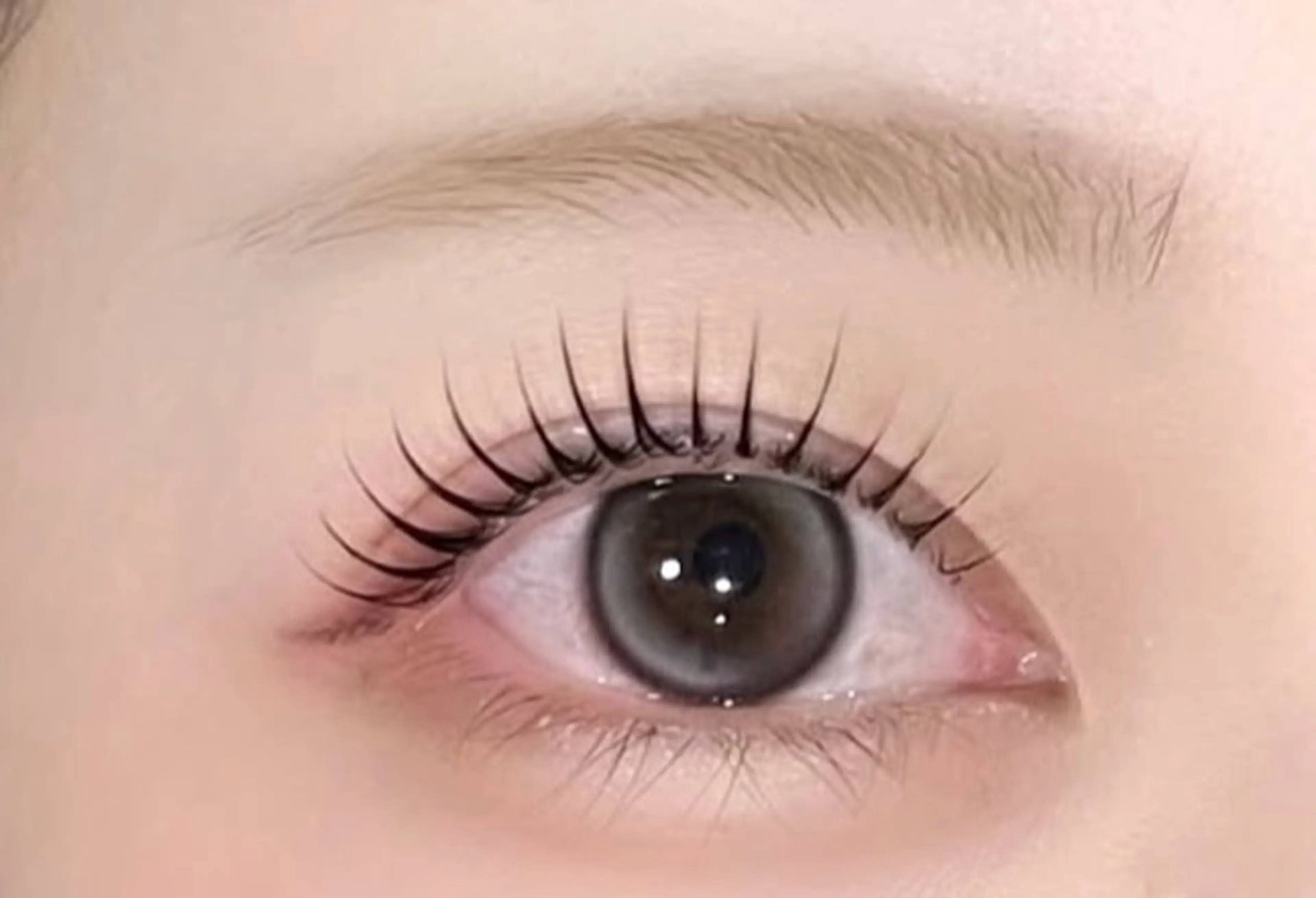 🎀上下まつ毛パーマ🎀の写真