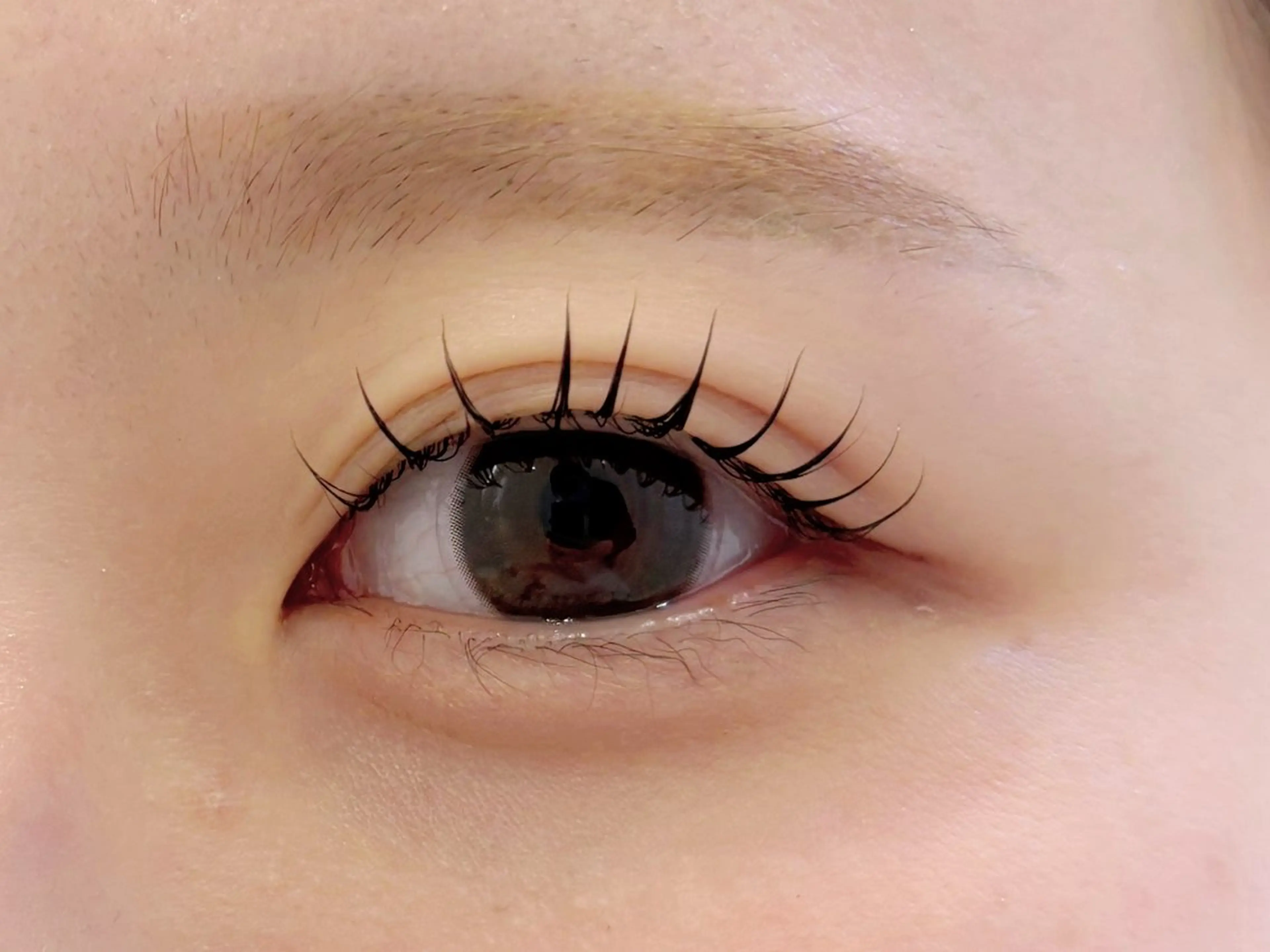 マツエク・マツパ 韓国風マツエク 一重×まつ毛パーマ マツパ 🌙Lily 船橋 鈴木のマツエク・マツパデザイン