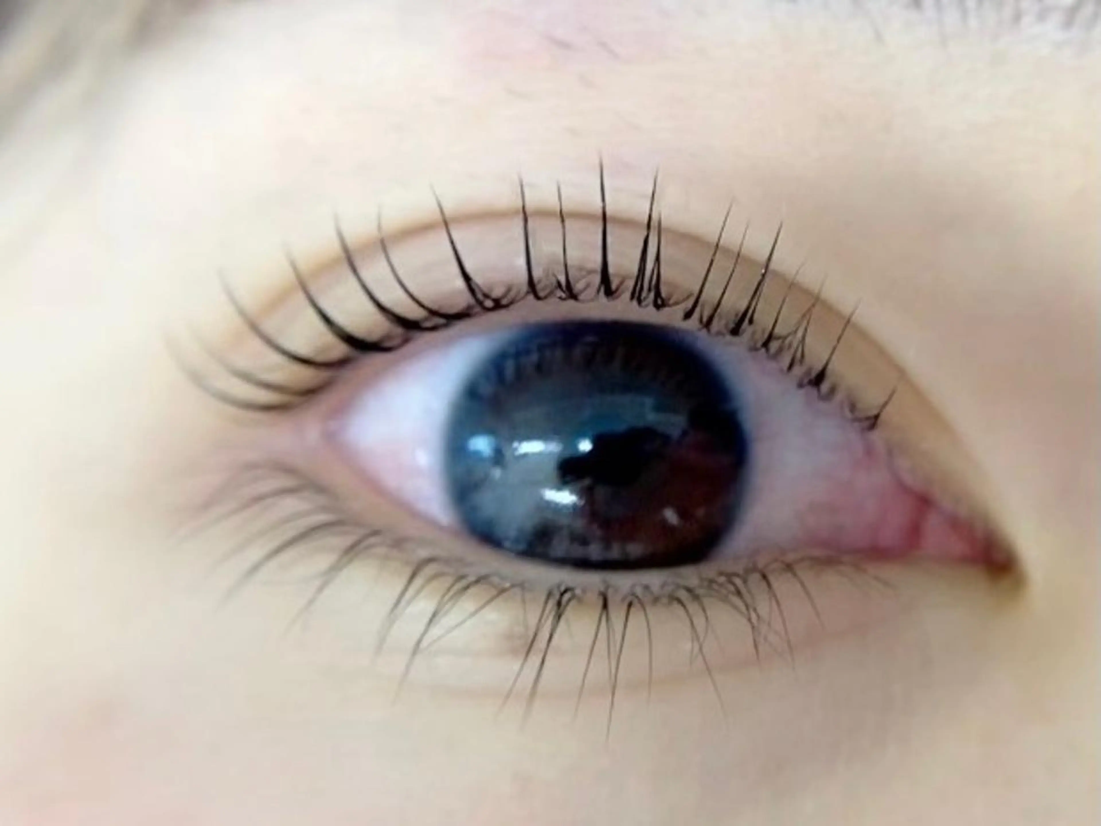 マツエク・マツパ 一重×まつ毛パーマ 小野寺 おのでらのマツエク・マツパデザイン