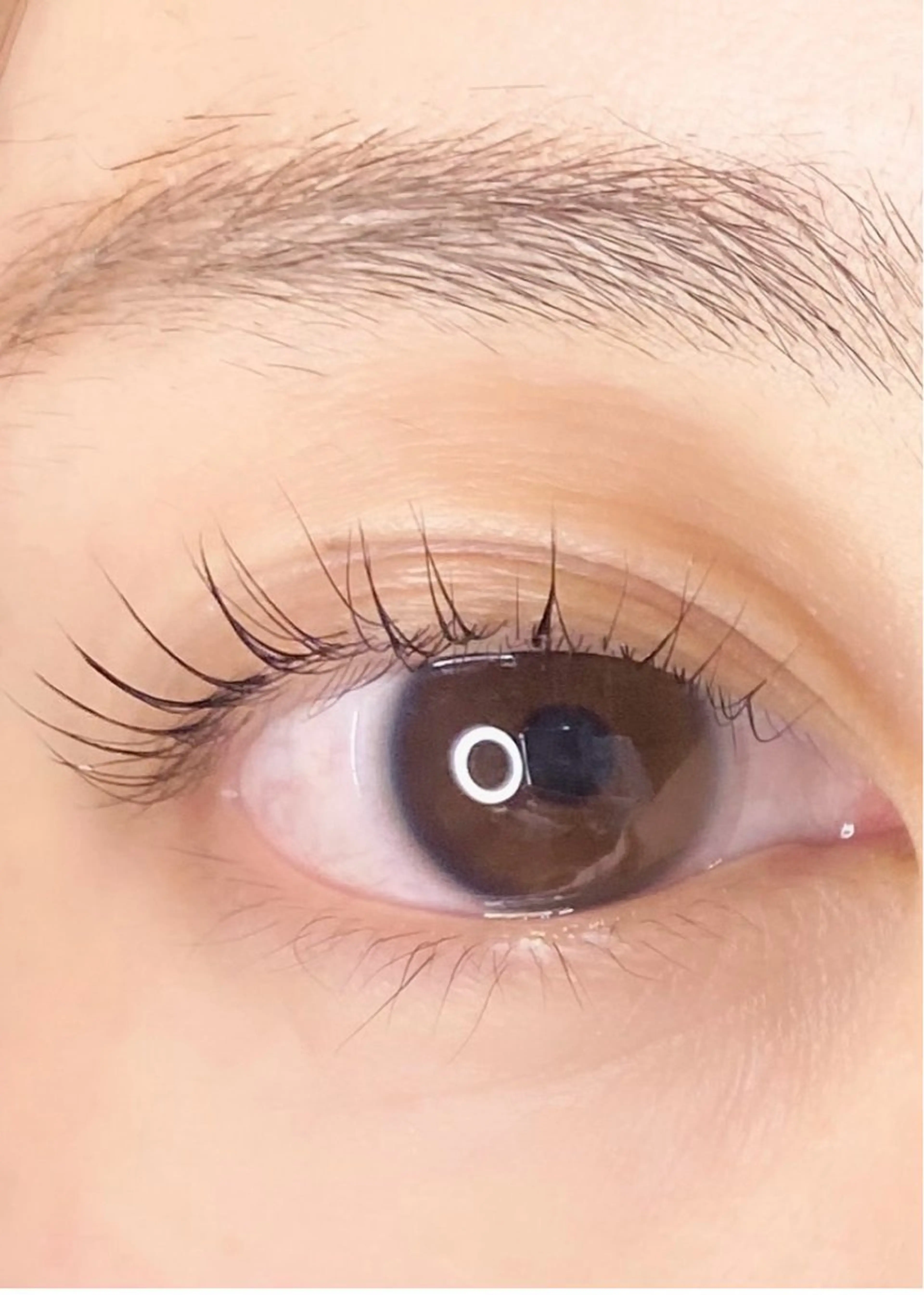 〖ご新規様〗minimo限定価格‼️束感ラッシュリフト🫧【コーティング・アイシャンプー付き✨】の写真