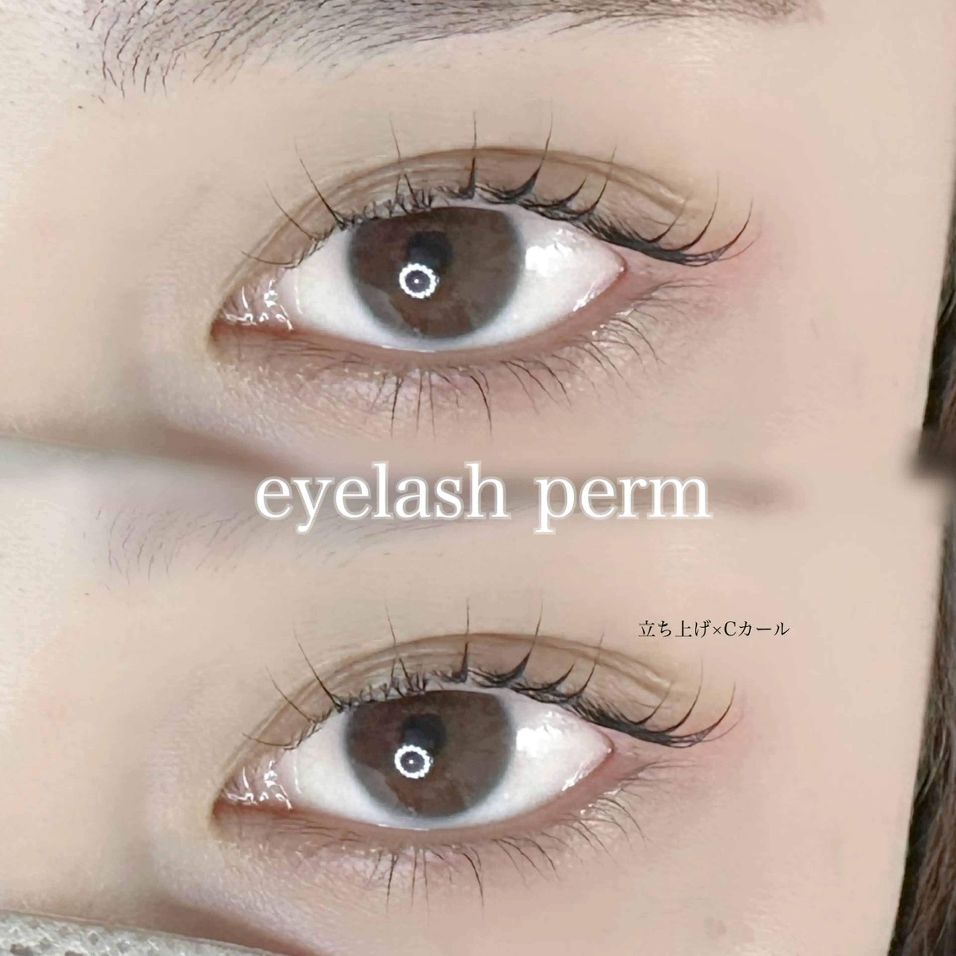 マツエク・マツパ Cカール マリーテレジア 🪽BANNOのマツエク・マツパデザイン