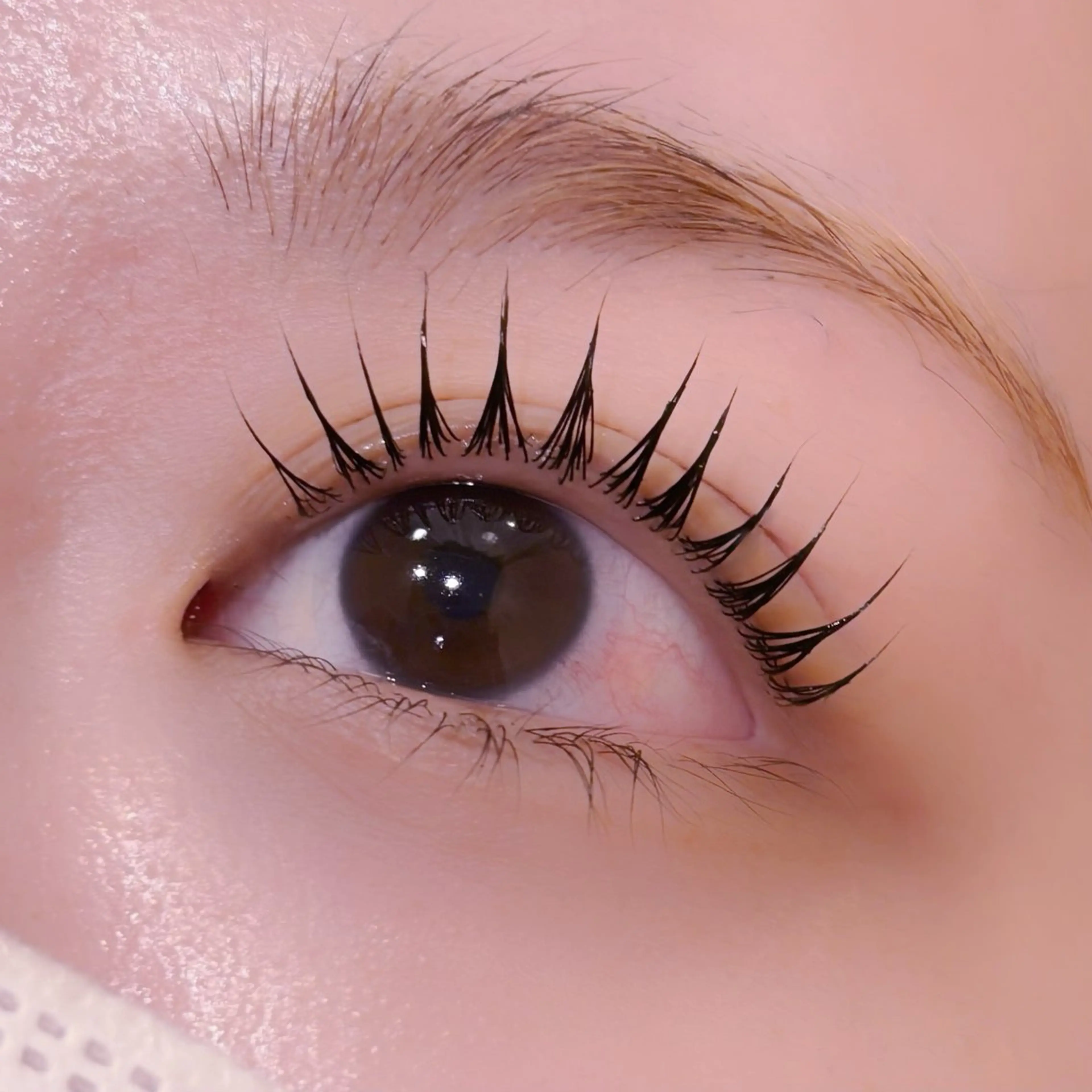 マツエク・マツパ マツパ pono大宮東口店 店長🩰AOHA🩰のマツエク・マツパデザイン