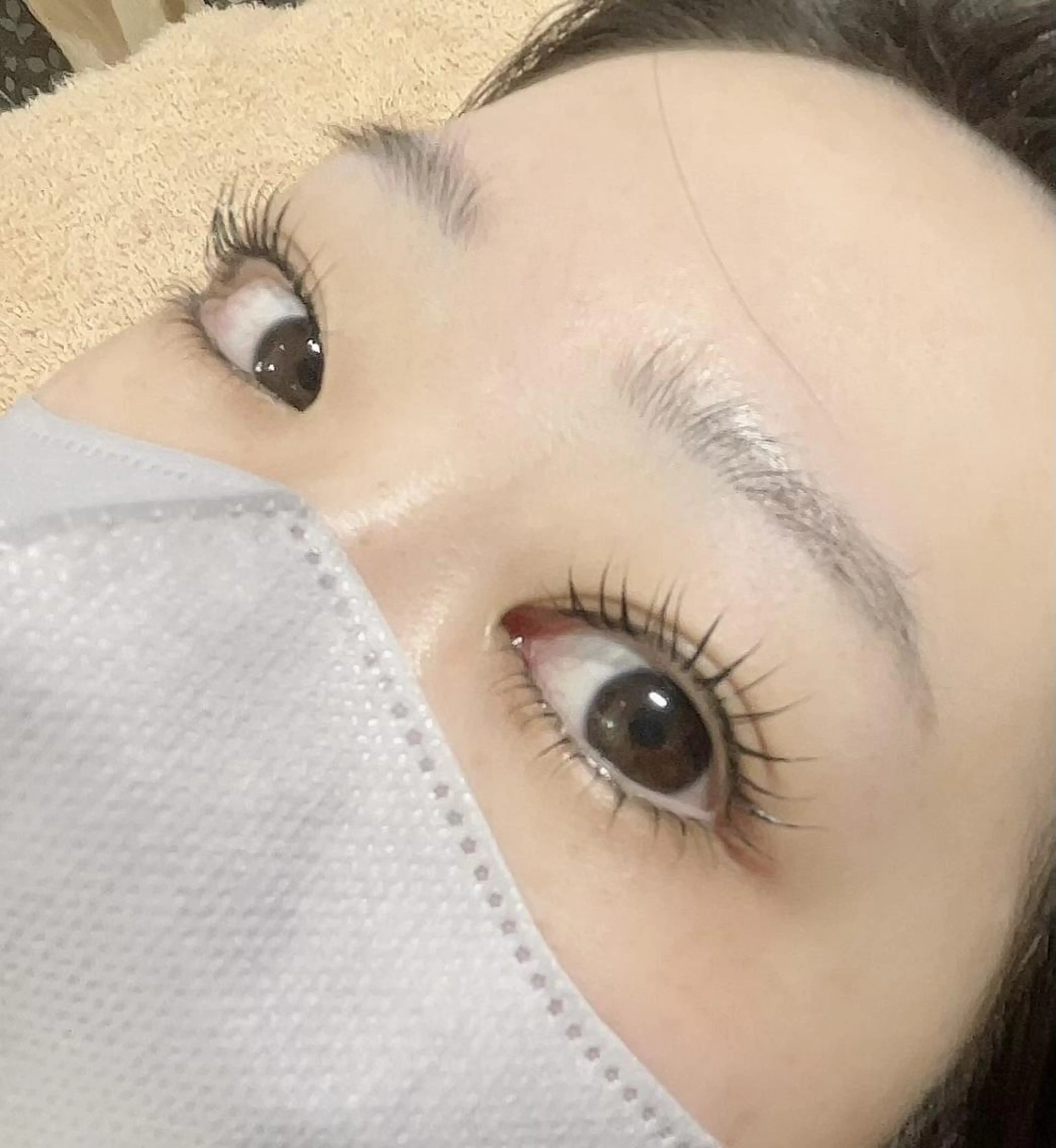 【当日予約限定】ラッシュリフト上下セットの写真