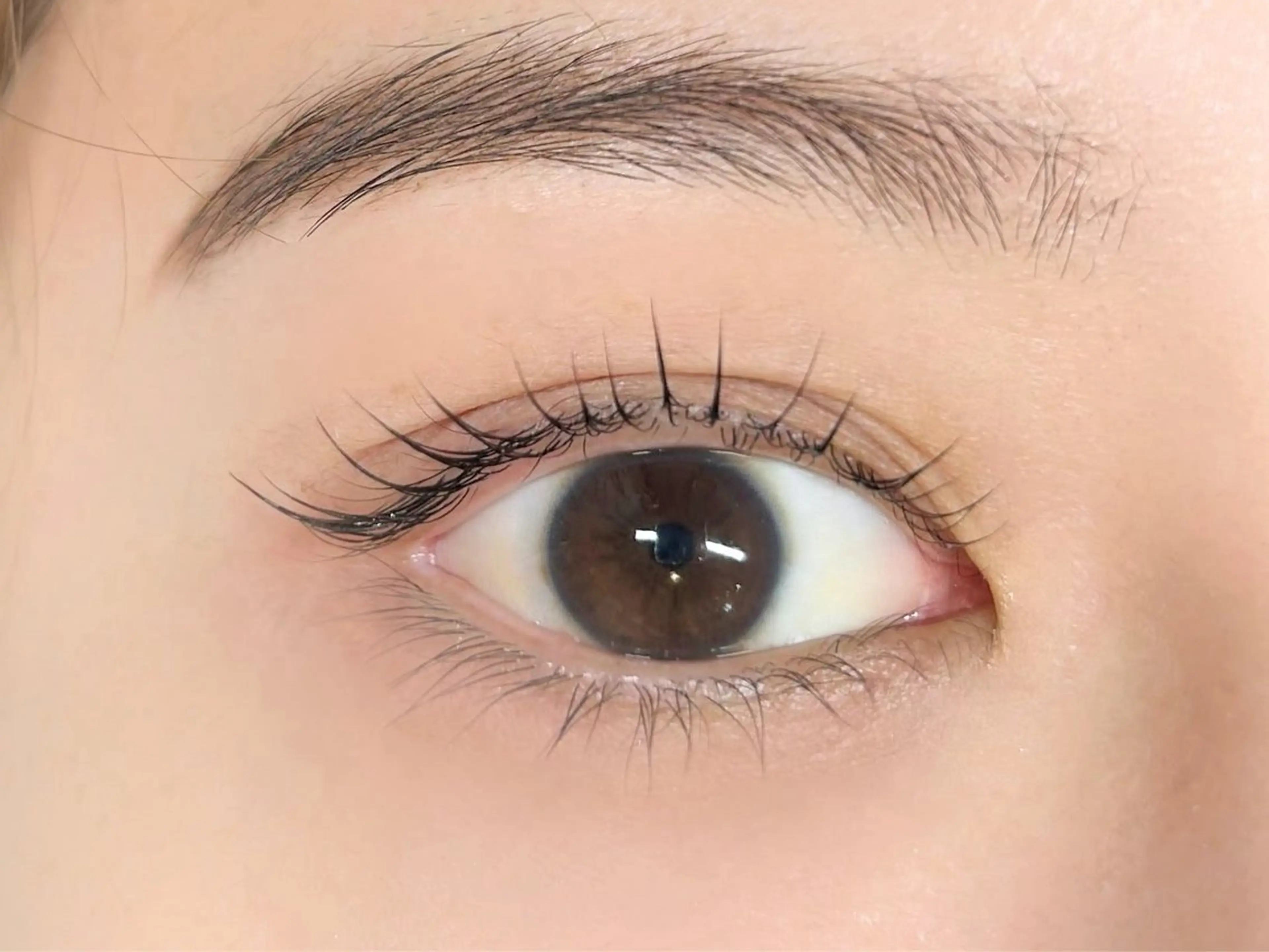 マツエク・マツパ 一重×まつ毛パーマ ボリュームラッシュ マツパ ecru.eye 【元住吉】のマツエク・マツパデザイン