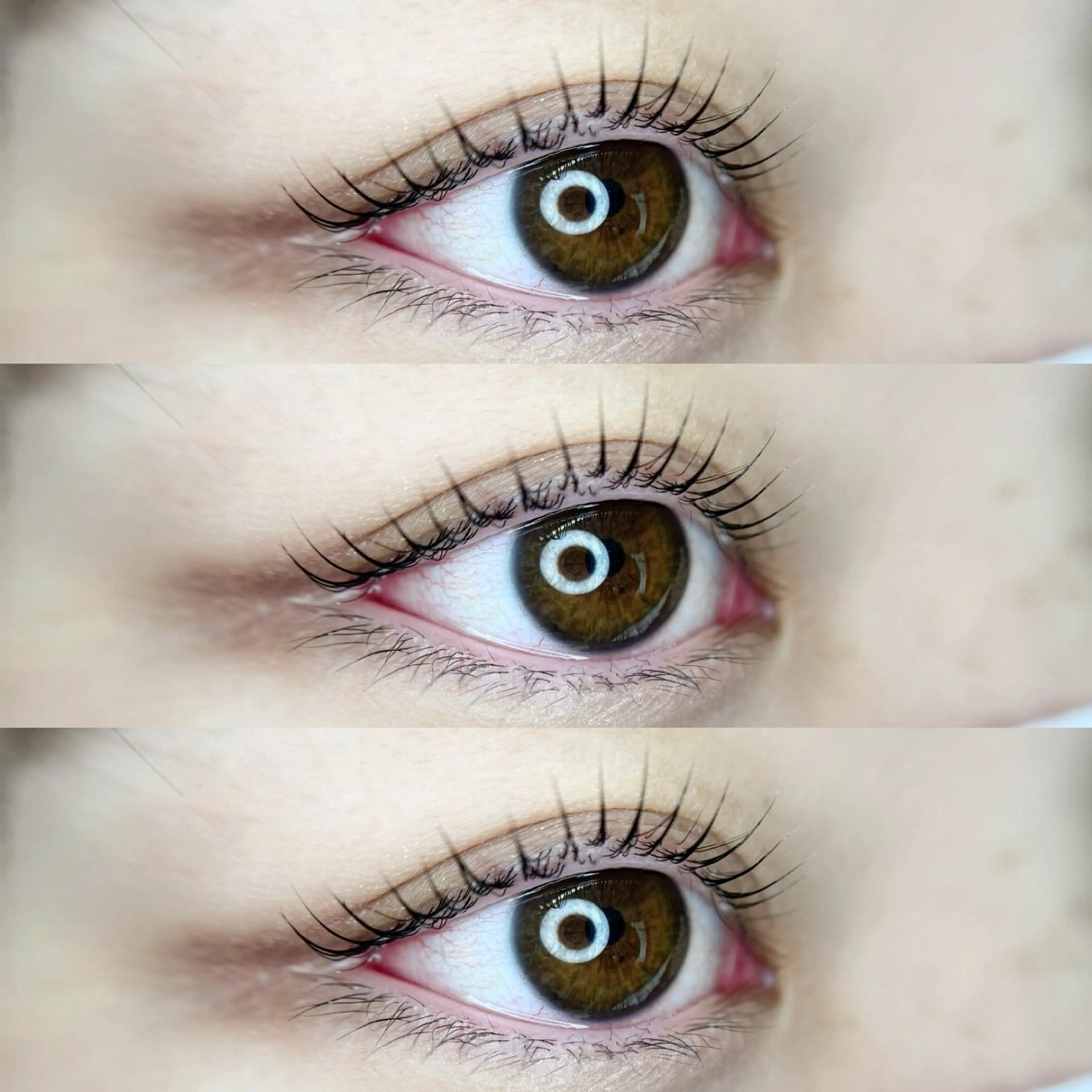 マツエク・マツパ arce -ｱﾙｾ- 🔅ヒマワリのマツエク・マツパデザイン