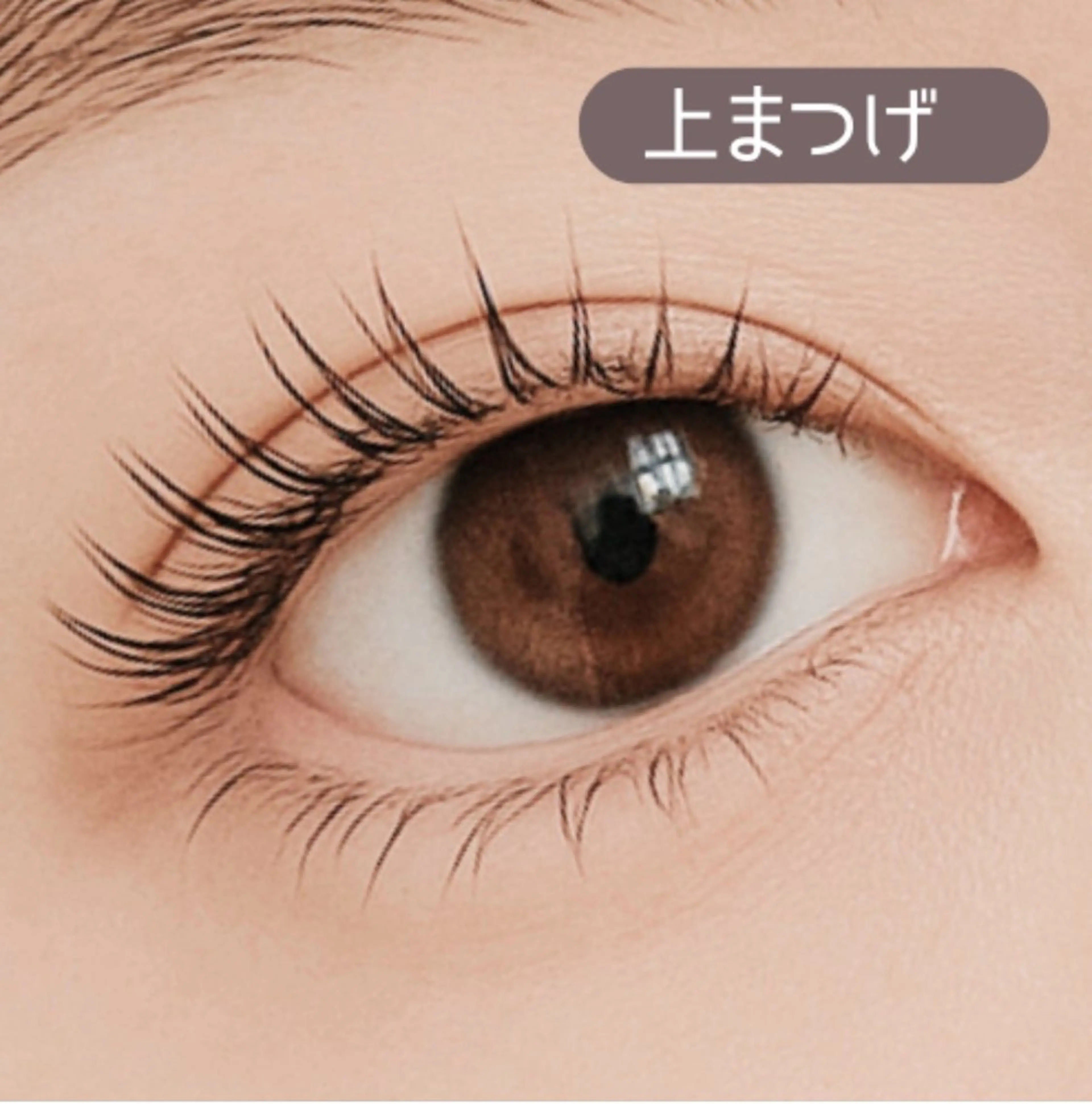 マツエク・マツパ マツパ Purna NAIL&EYEのマツエク・マツパデザイン