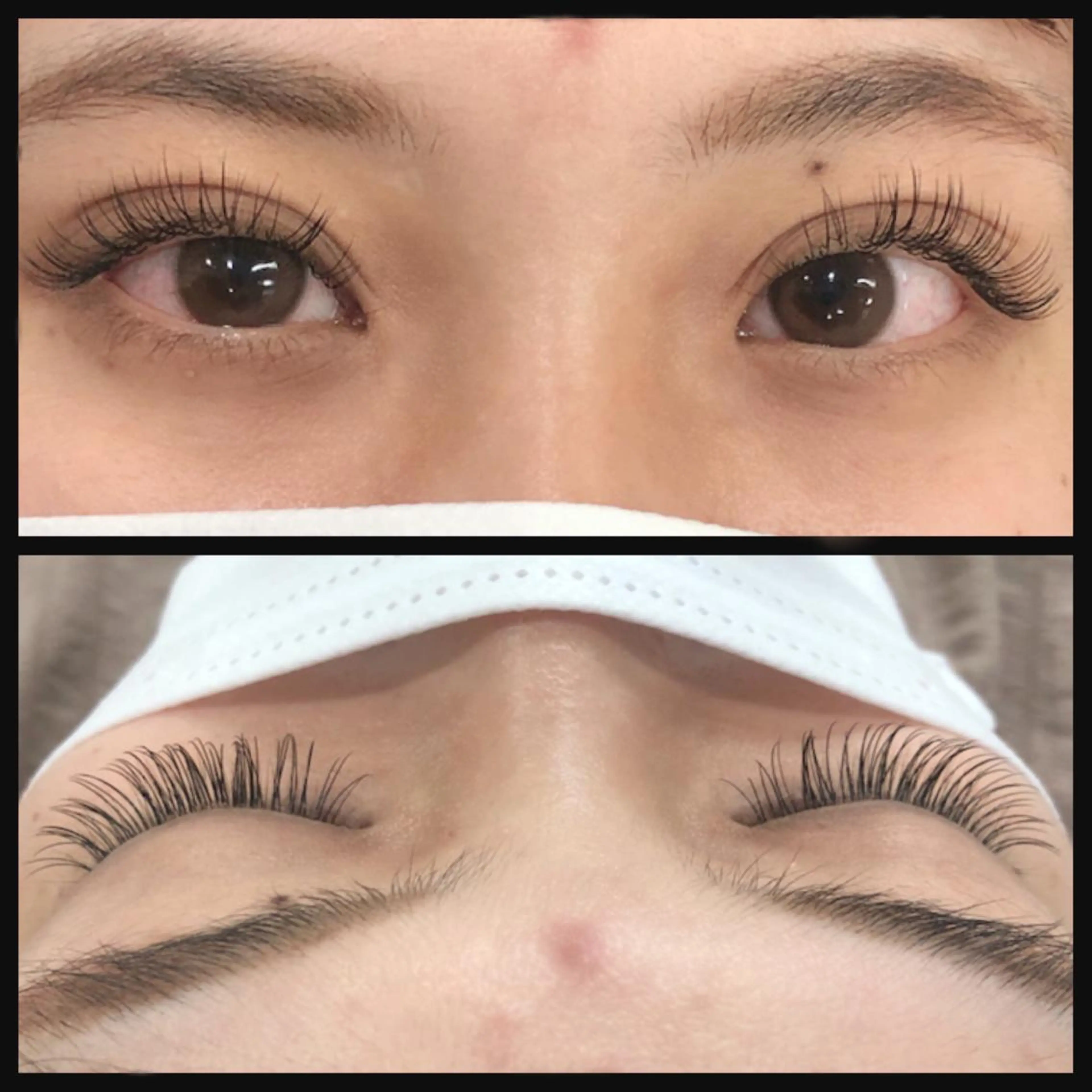 限定価格🕊️セーブル120本まで（両目)〈オフ有・無・リペア選択可〉の写真