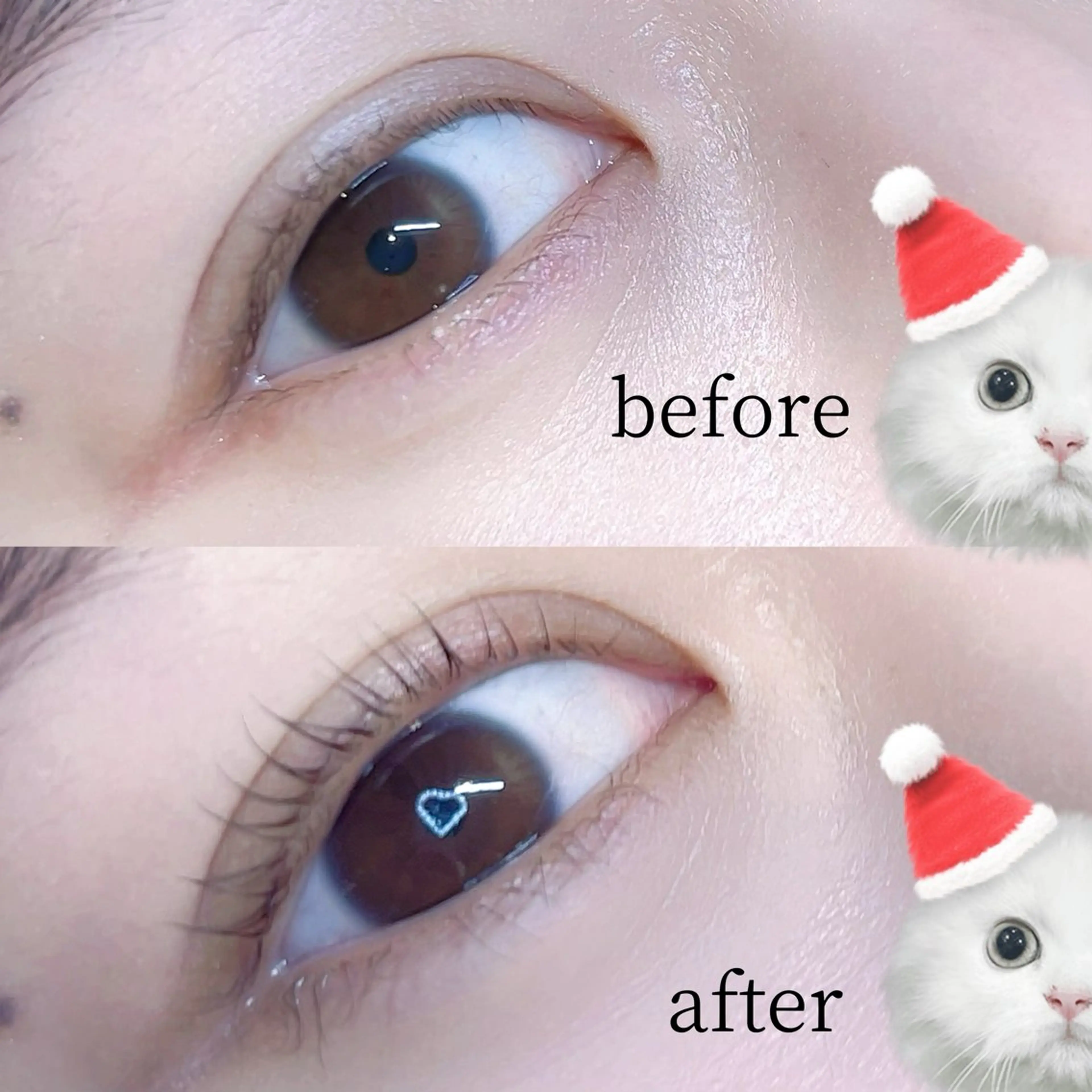 マツエク・マツパ ぱっちり🎀eye /恵比寿Ange🪽のマツエク・マツパデザイン