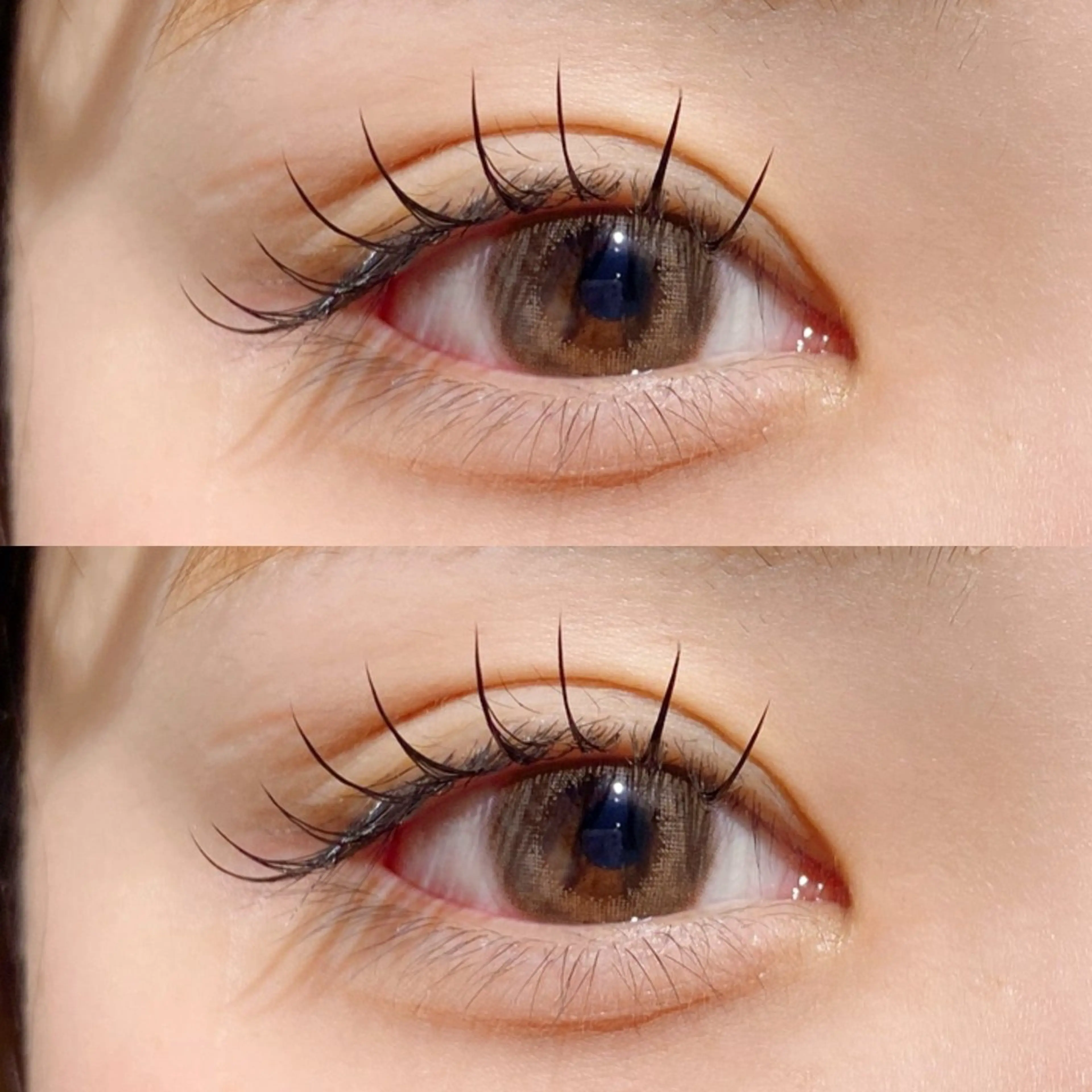 【持ちが良いと話題‼️】🩷LEDマツエク100本🩷の写真