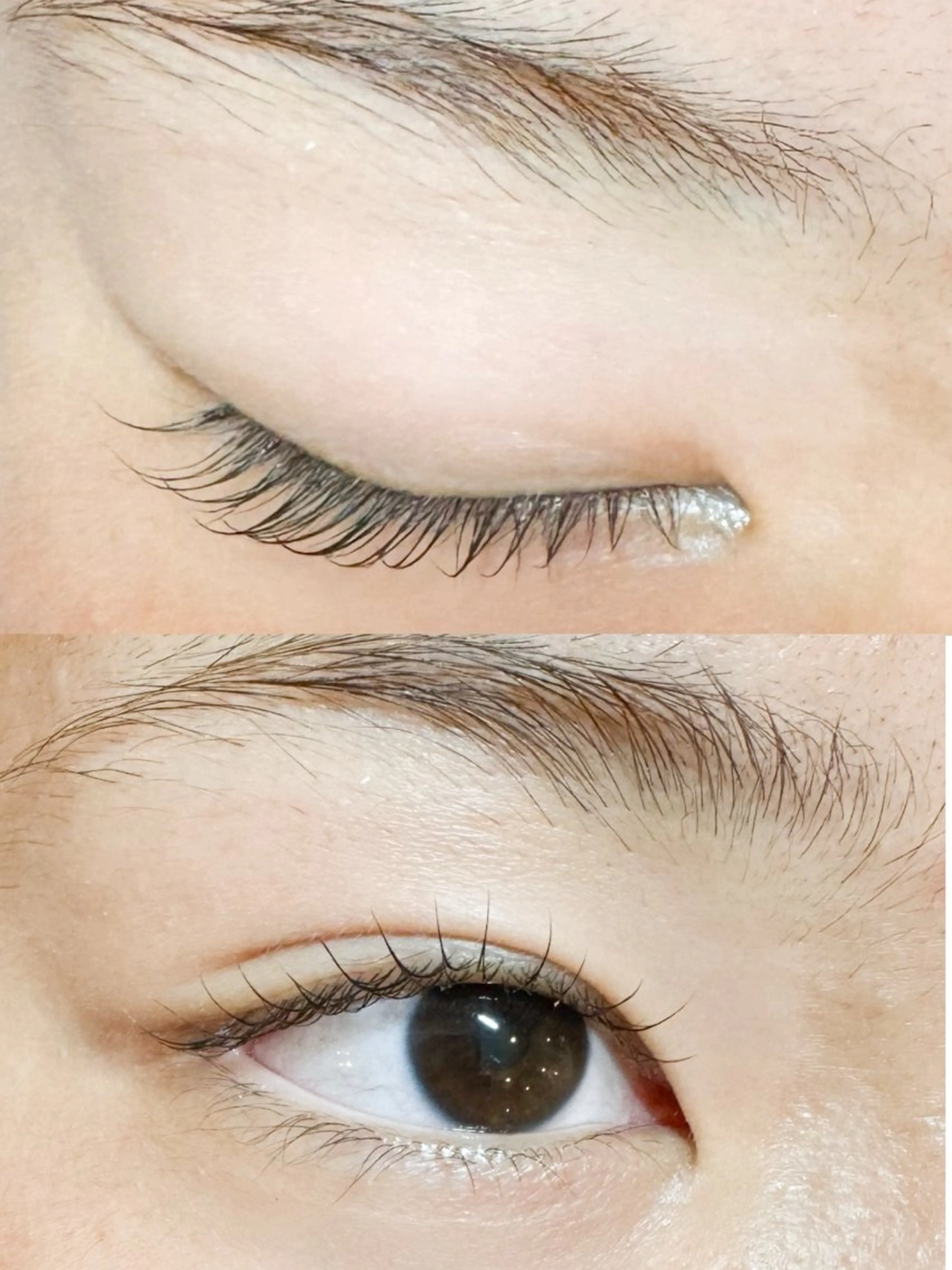 マツエク・マツパ まつげパーマ Isogai 𓏸𓍯﻿のマツエク・マツパデザイン