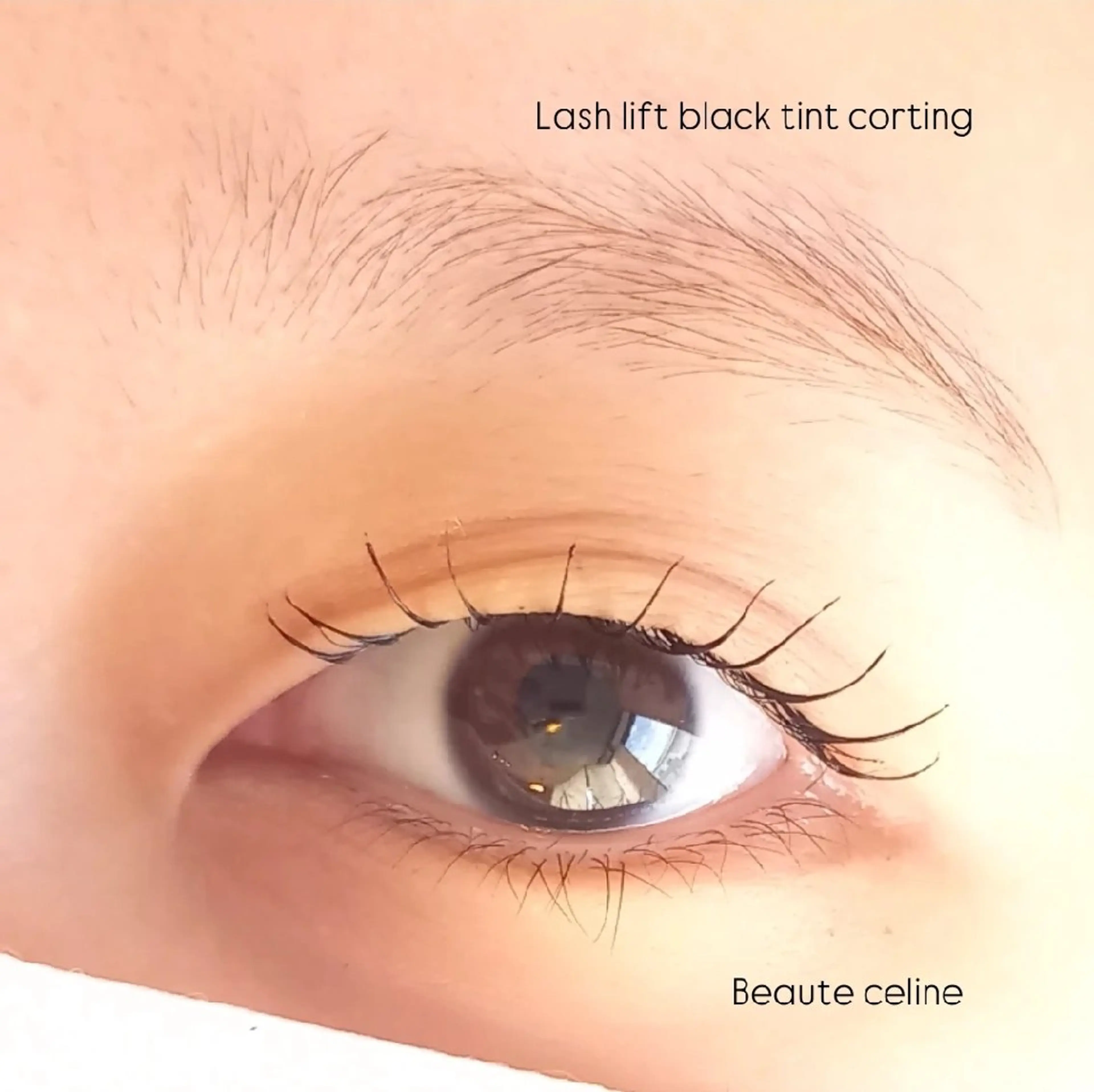 マツエク・マツパ マツパ 8時～✨beaute Celine🌛🌹のマツエク・マツパデザイン