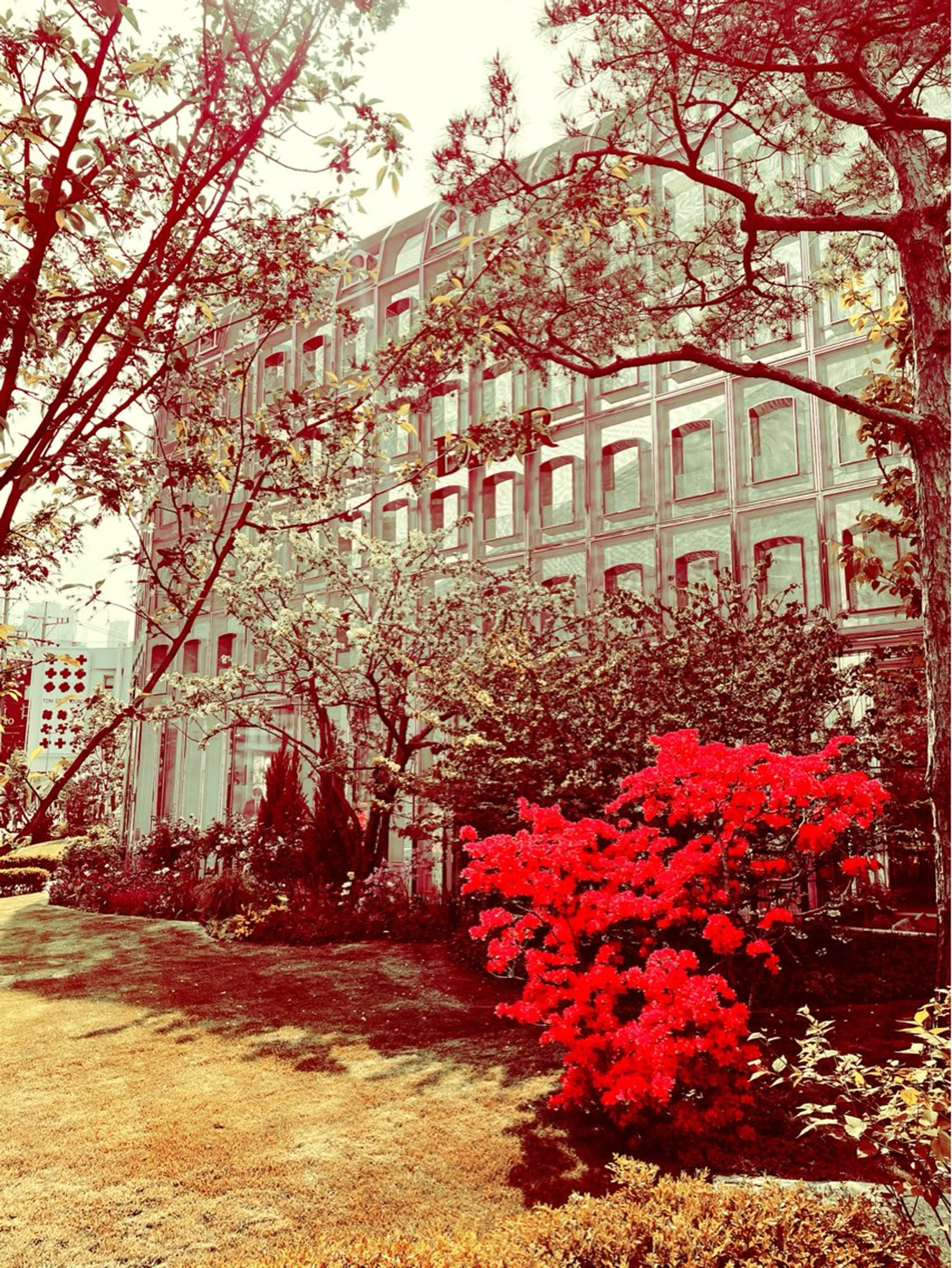 マツエク・マツパ ☽𝘀𝗵𝗶 𝘀𝗵𝗶☽のマツエク・マツパデザイン