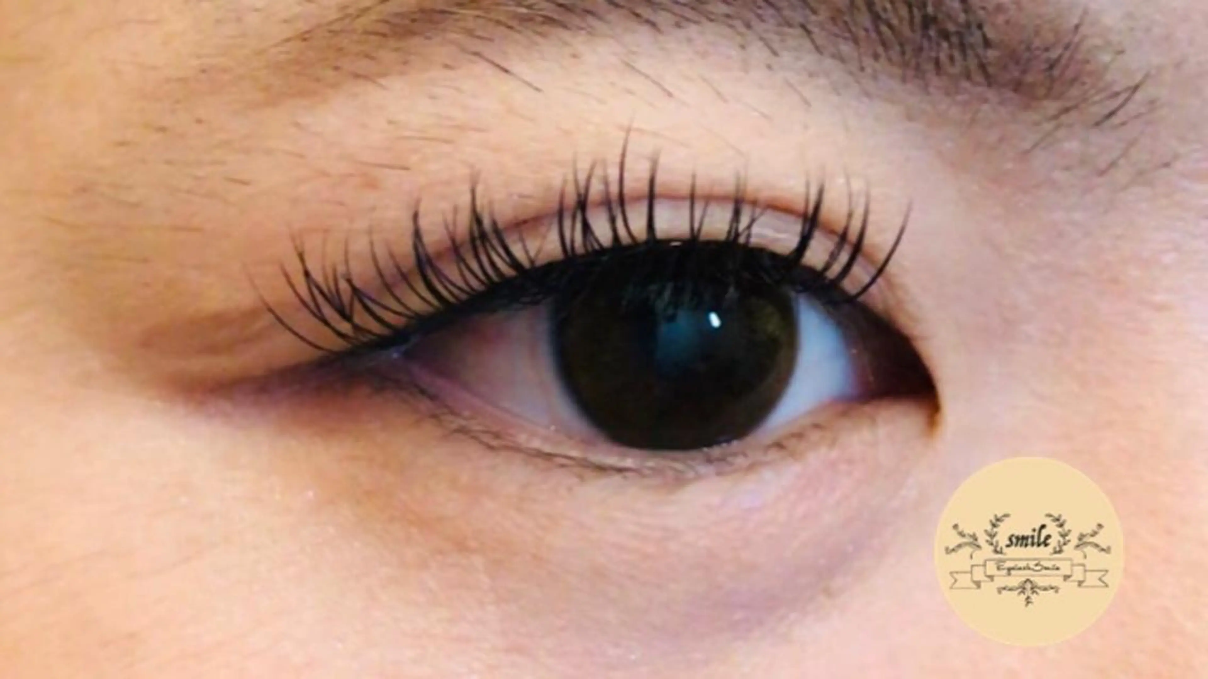 マツエク・マツパ eyelash smileのマツエク・マツパデザイン