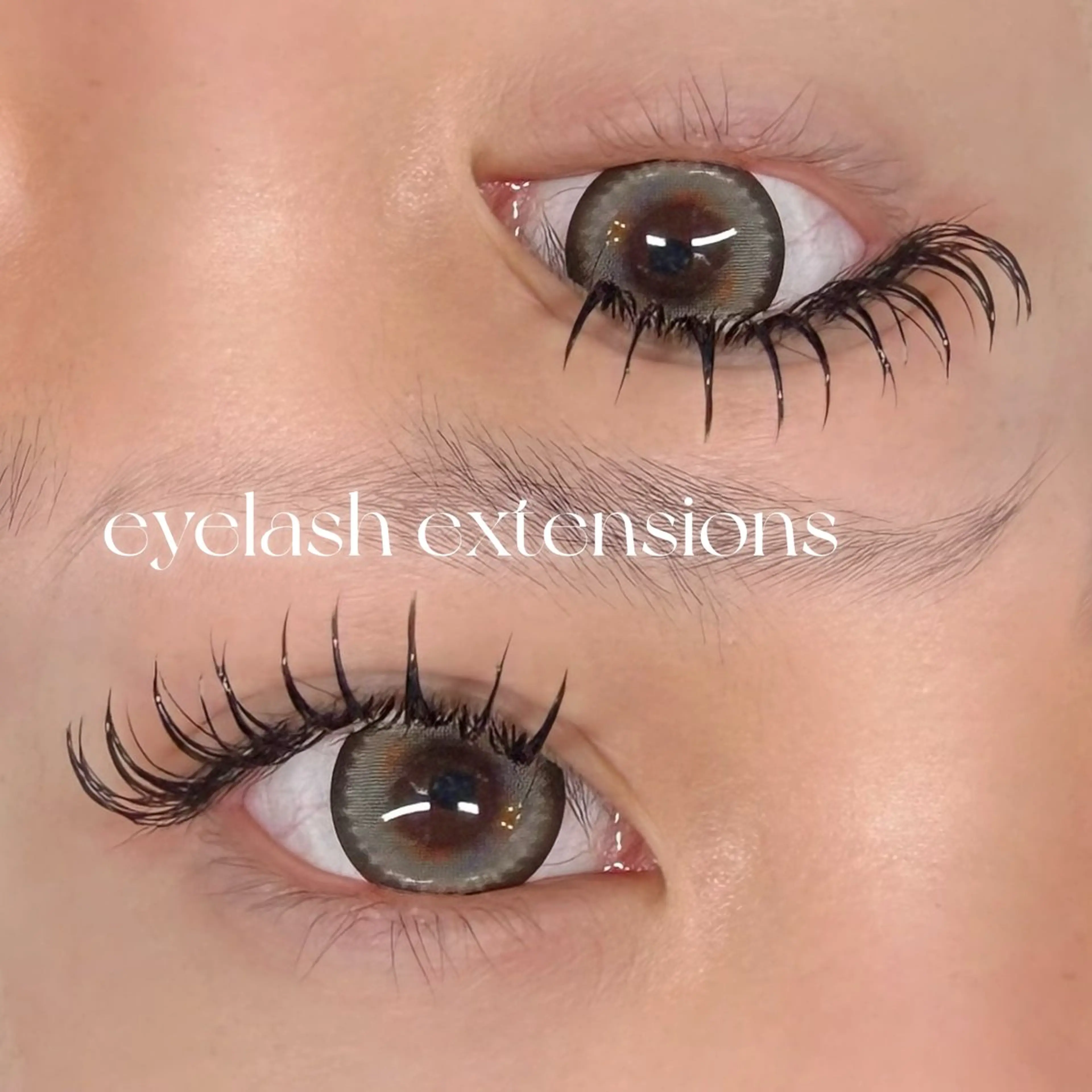 💜LEDマツエク💜口コミ有り💜フラットラッシュ100本💜の写真