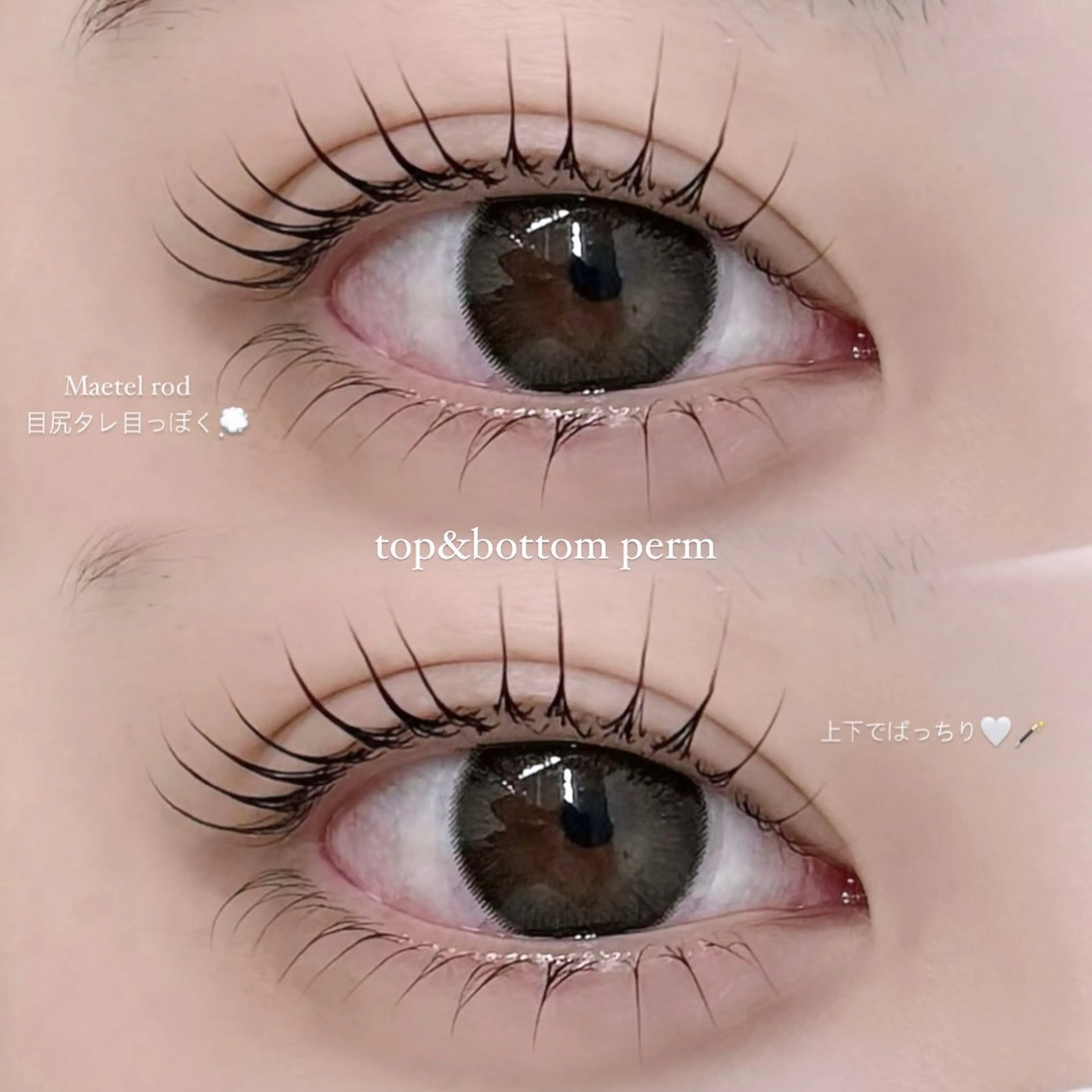 上下パーマの写真