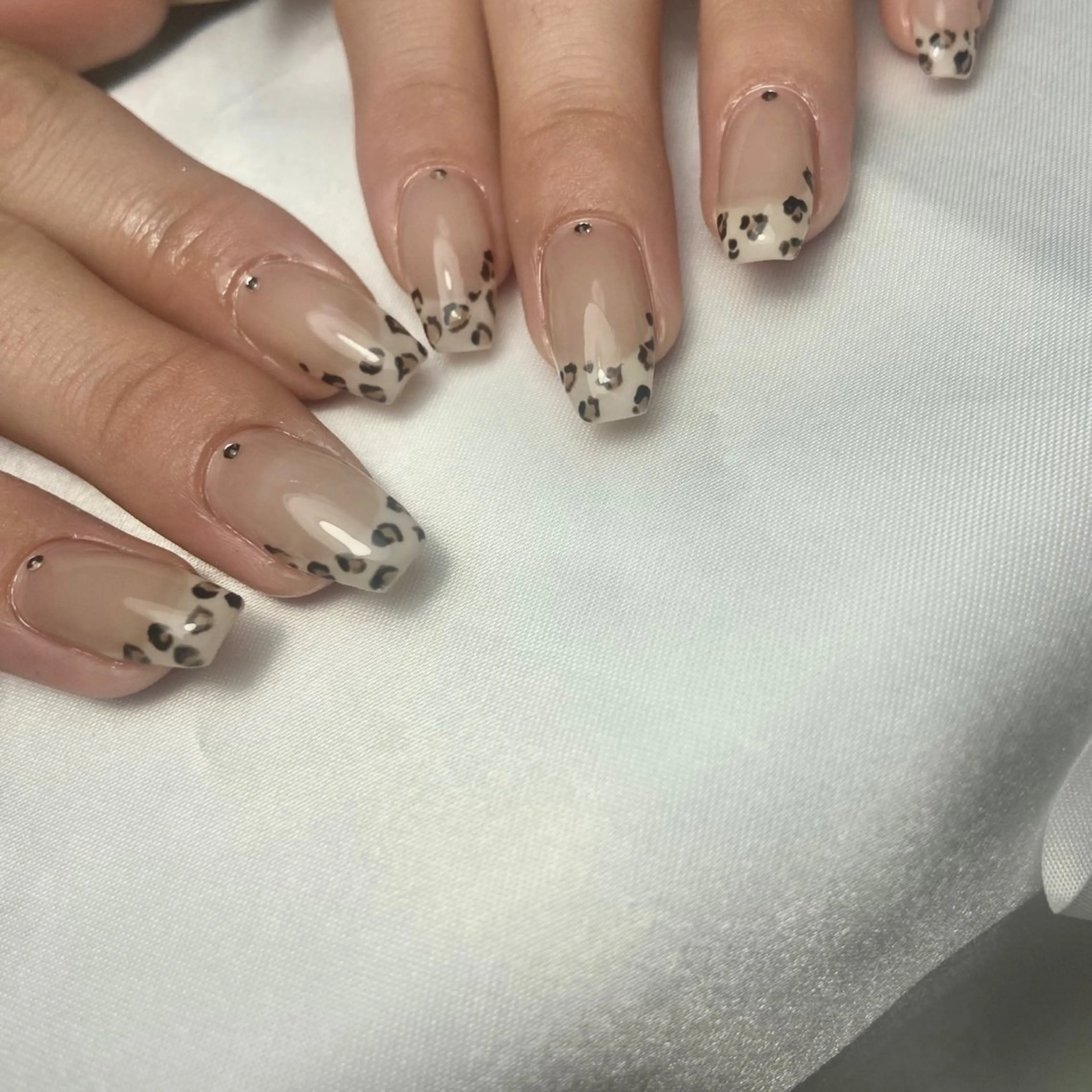 ネイル アニマル柄 ハンドネイル LIll nailのネイルデザイン