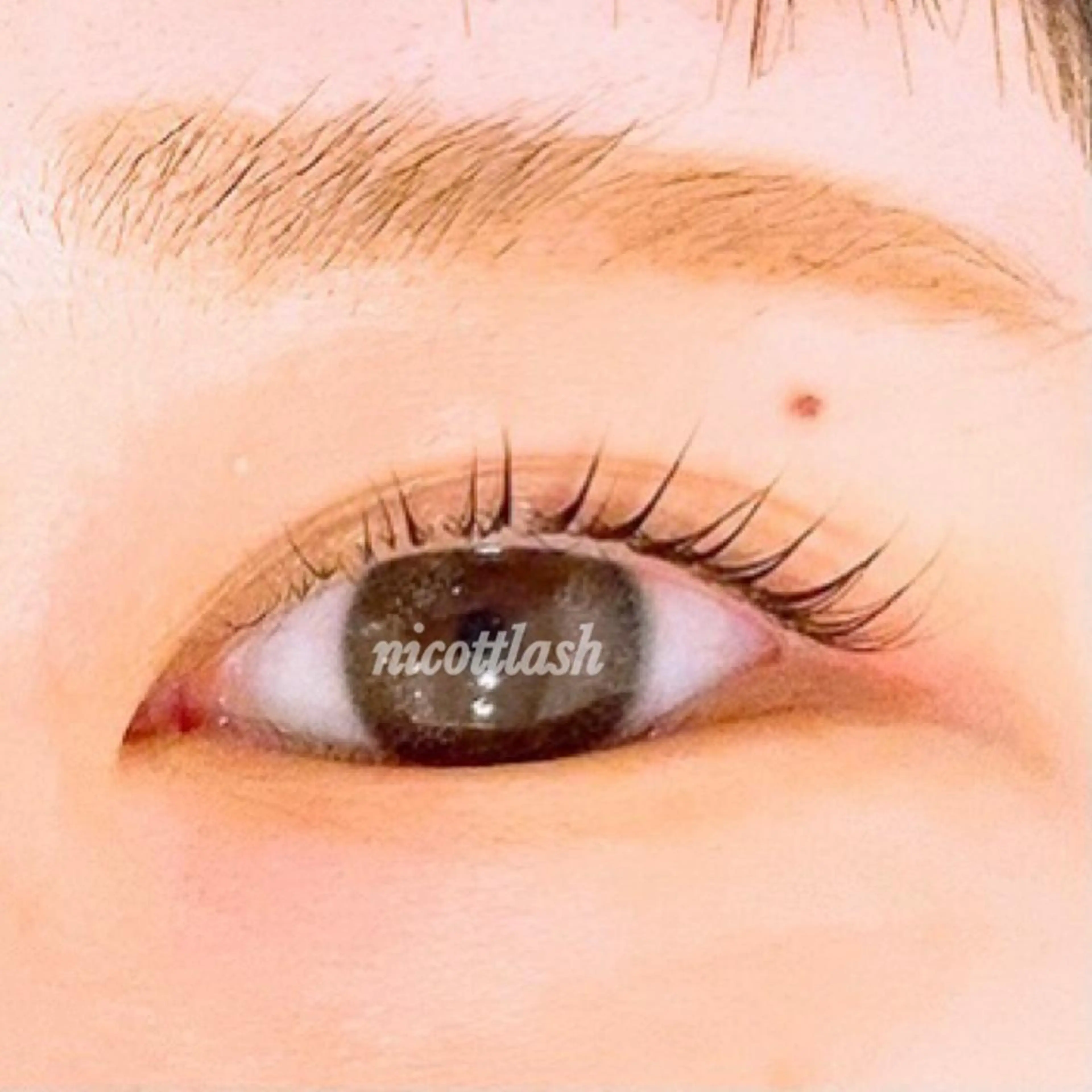 マツエク・マツパ パリジェンヌラッシュリフト アイニコ第1ビル 渡邊のマツエク・マツパデザイン