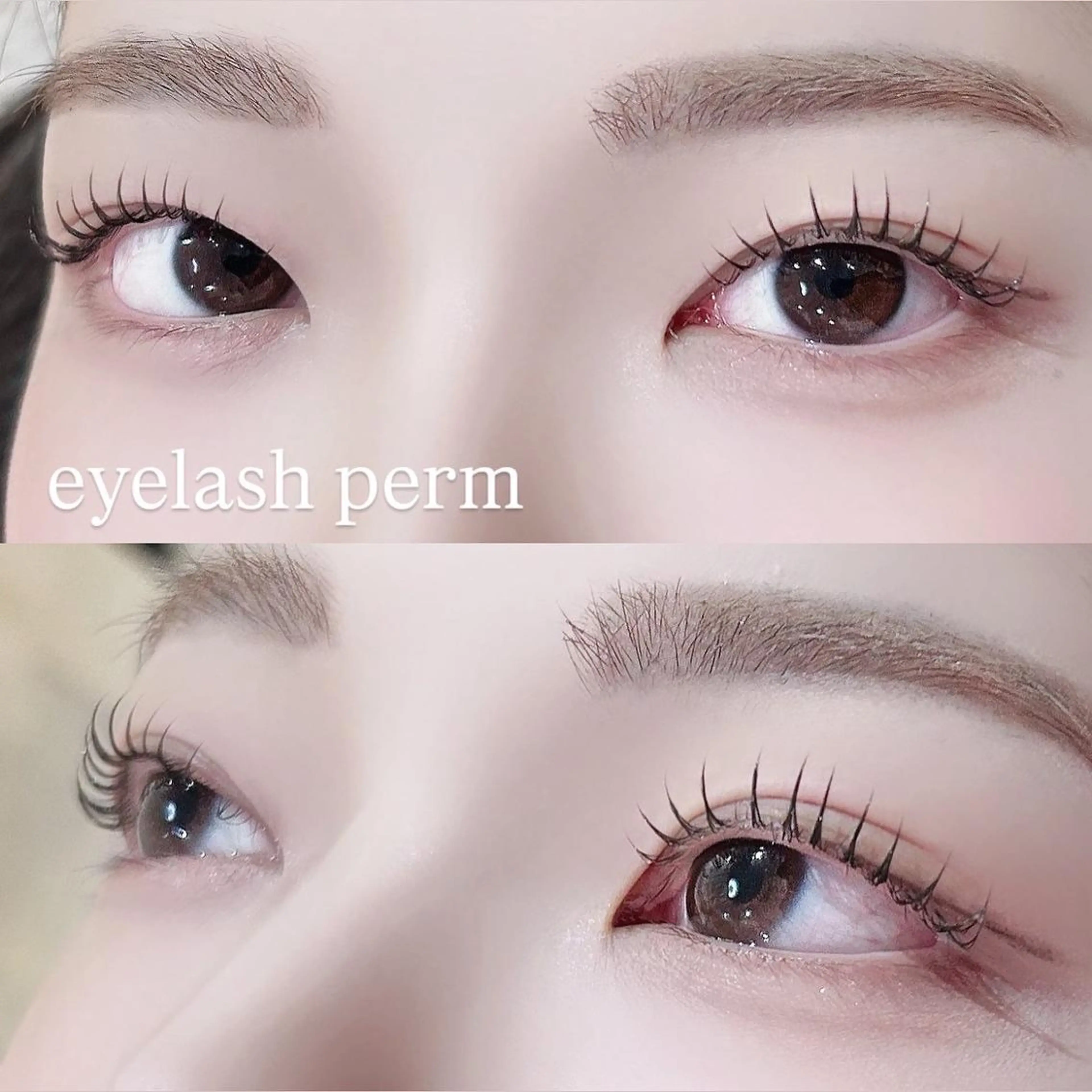 【4月20日14時限定💝】まつげパーマ×アイブロウワックスの写真