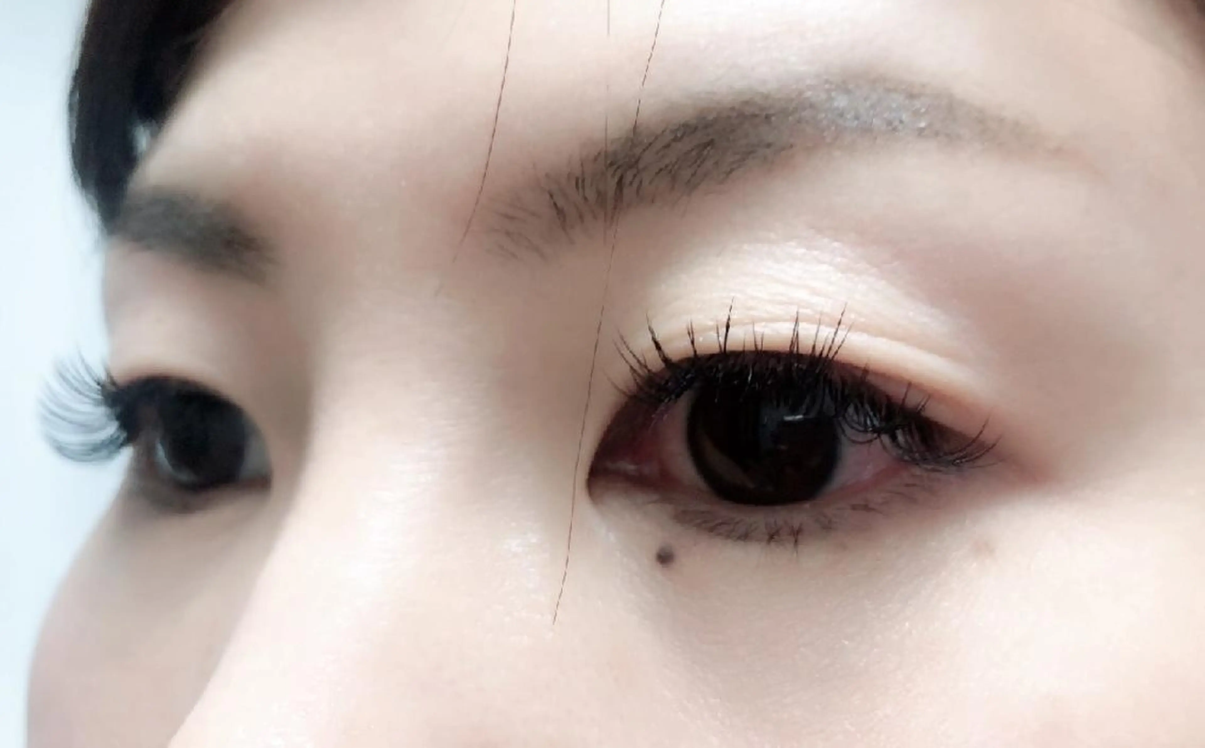 マツエク・マツパ 付け放題 フラットラッシュ セーブル 下まつげエクステ 一重×まつ毛パーマ 吉岡 ゆうなのマツエク・マツパデザイン