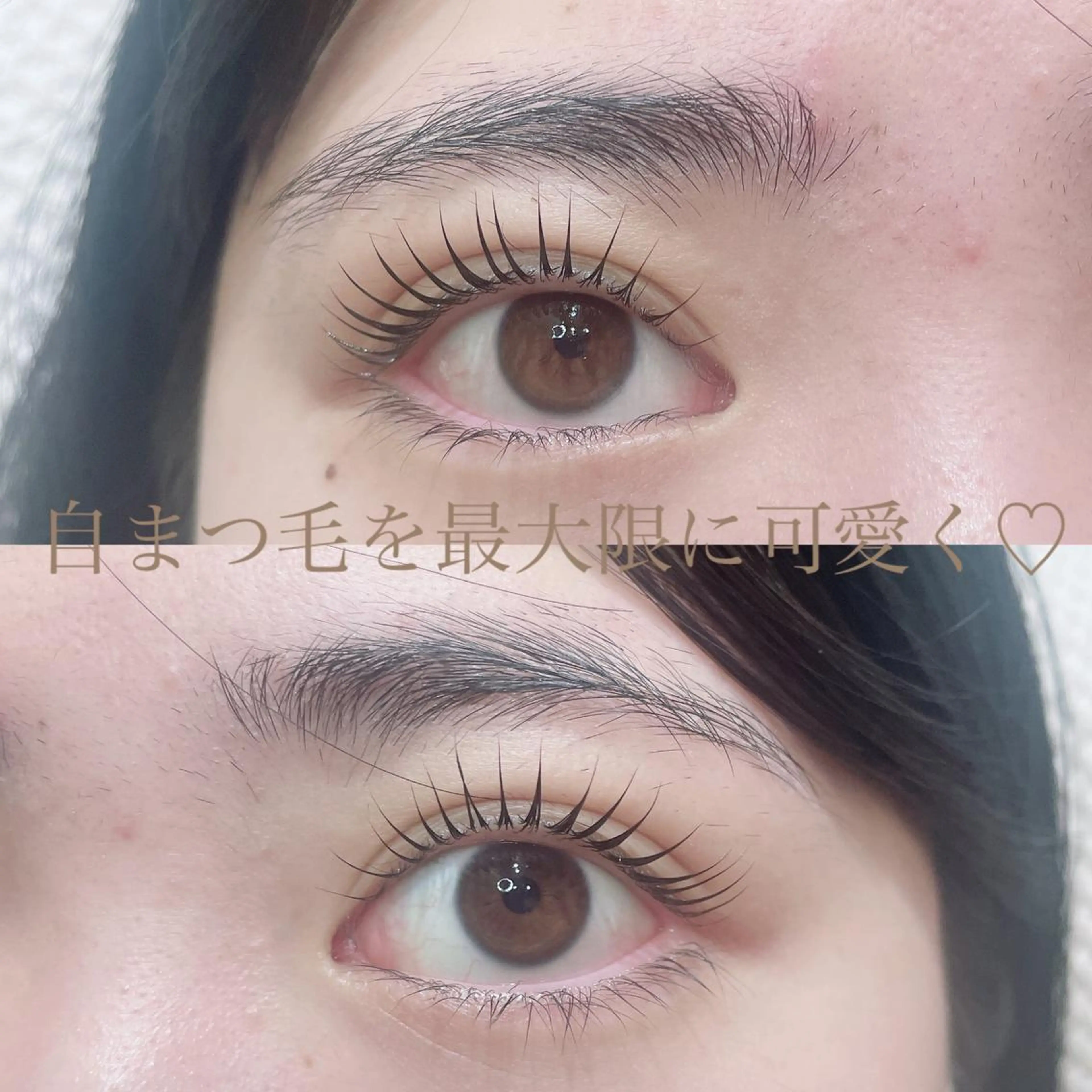 マツエク・マツパ まつげパーマ 一重×まつ毛パーマ マツパ SEALA 高石の眉毛・アイブロウイメージ