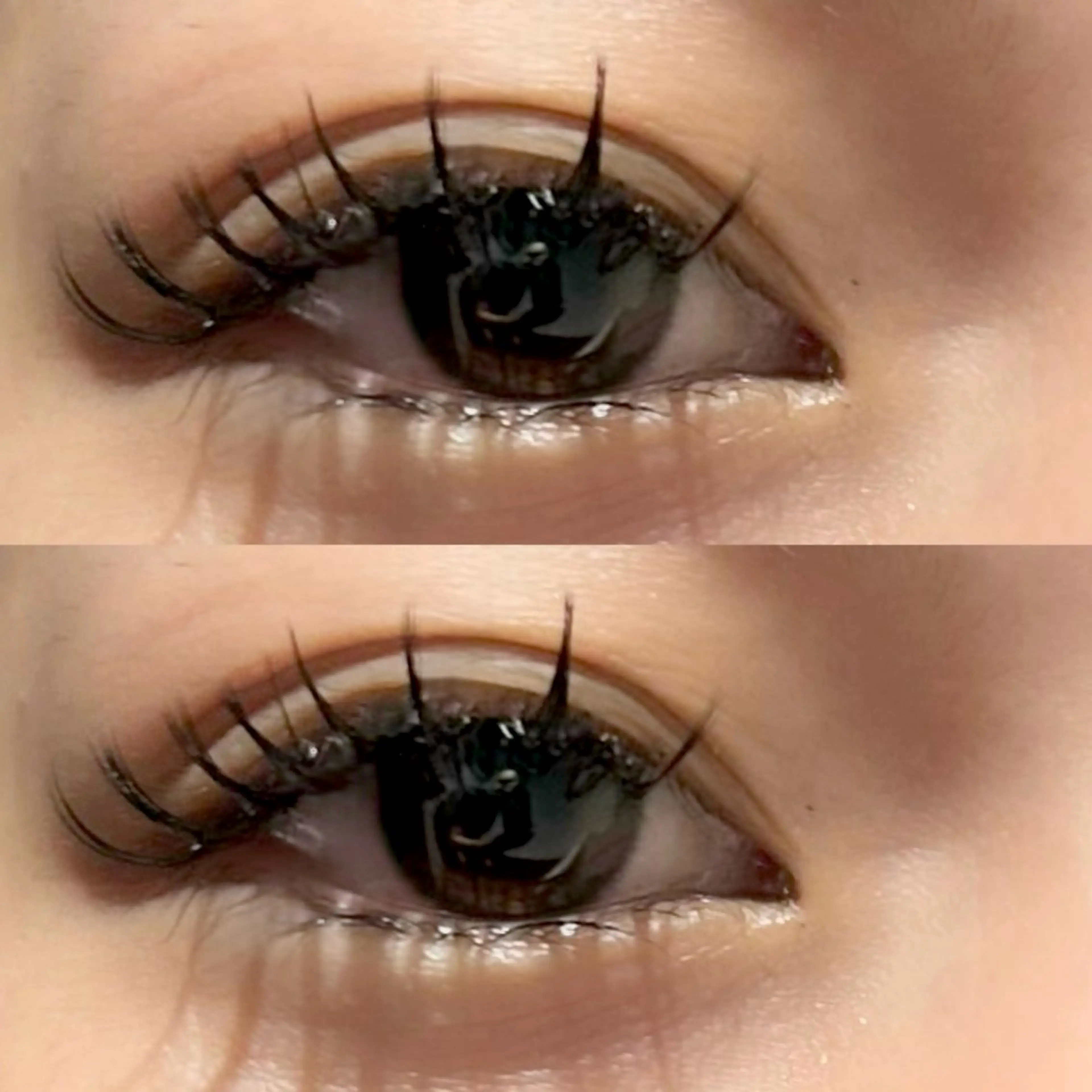 マツエク・マツパ マツエク メンズ/ボブ/パーマ /くるみのマツエク・マツパデザイン